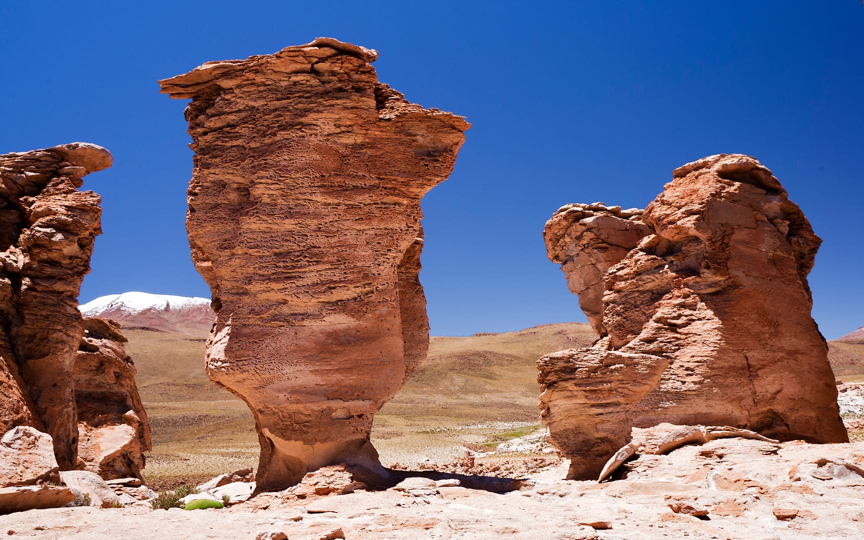 Bolivia — Altiplano — landscape