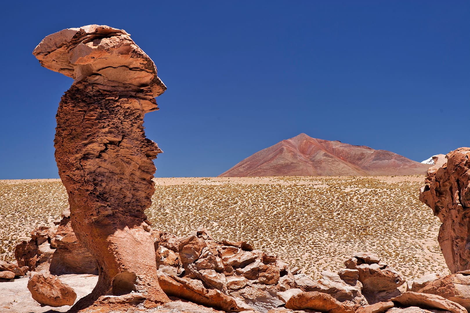 Bolivia — Altiplano — landscape