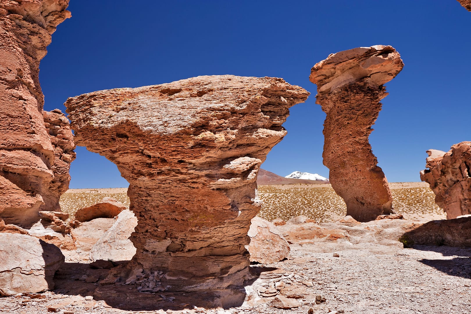 Bolivia — Eduardo Avaroa Reserve — landscape