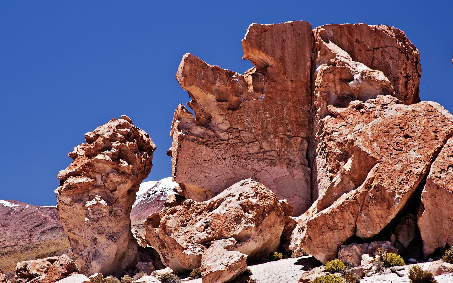 Bolivia — Altiplano — landscape