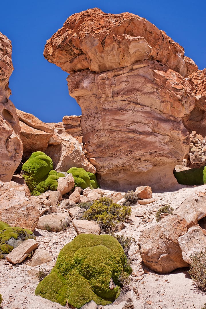 Bolivia — Siloli Desert — landscape
