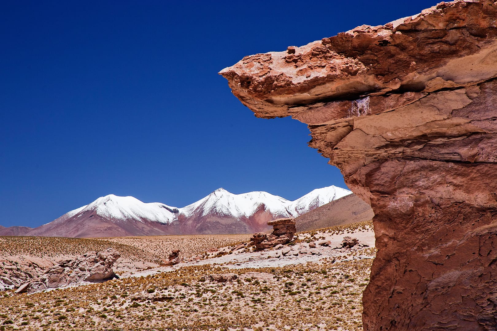 Bolivia — Eduardo Avaroa Reserve — landscape