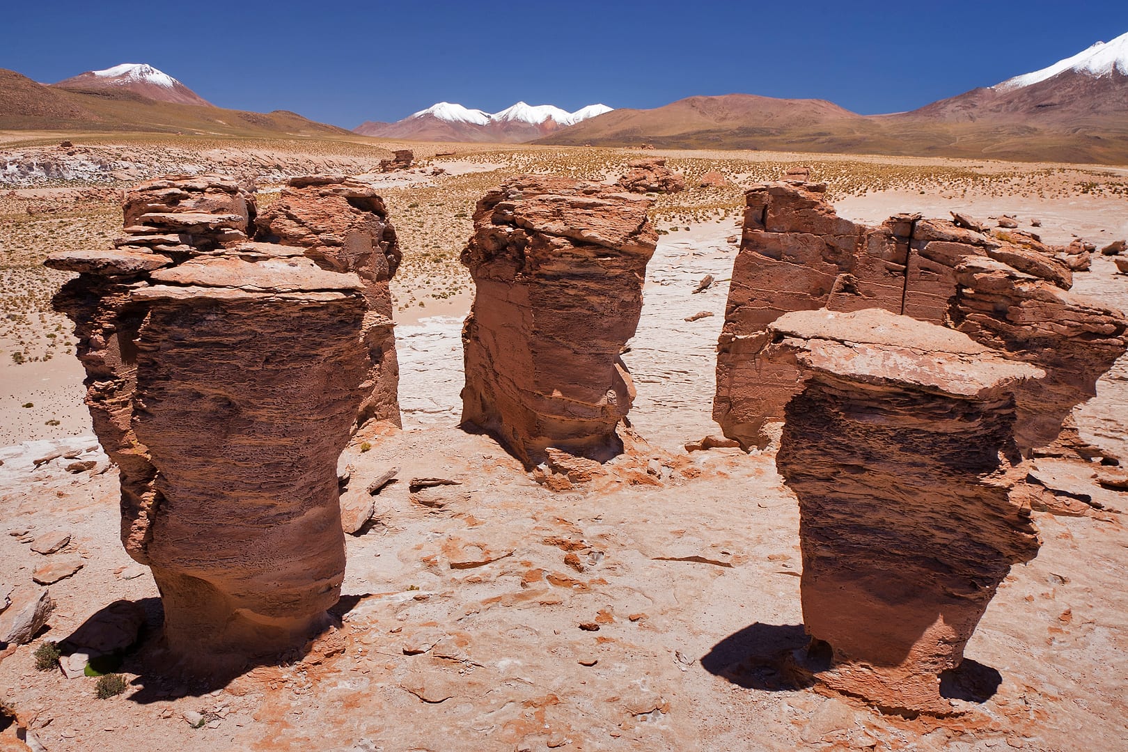 Bolivia — Altiplano — landscape