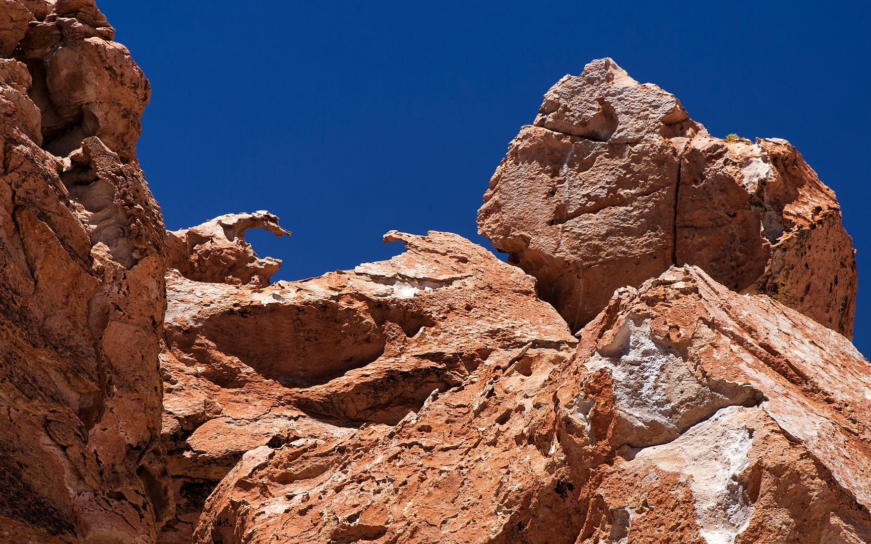 Bolivia — Altiplano — landscape