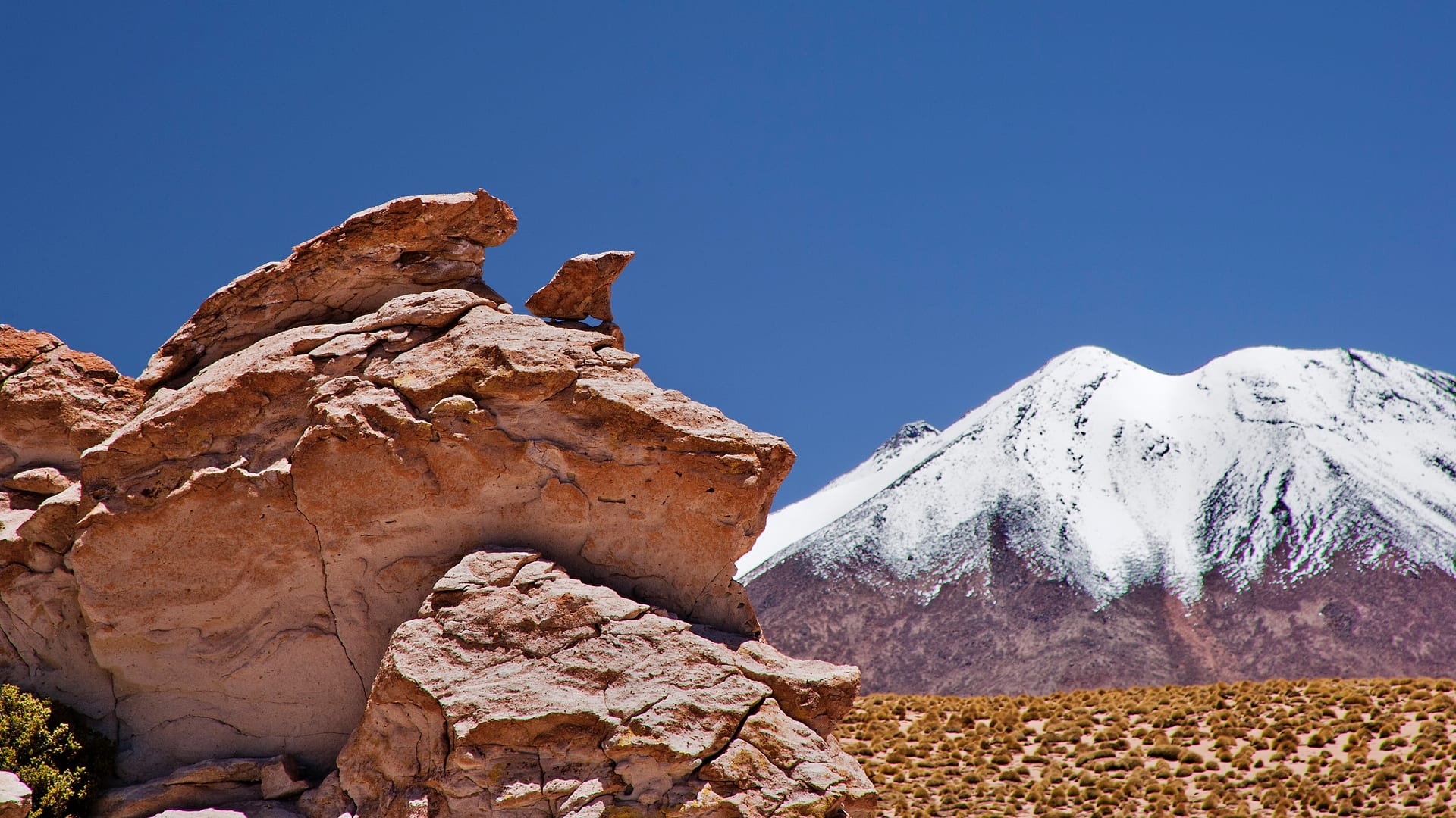 Bolivia — Siloli Desert — landscape