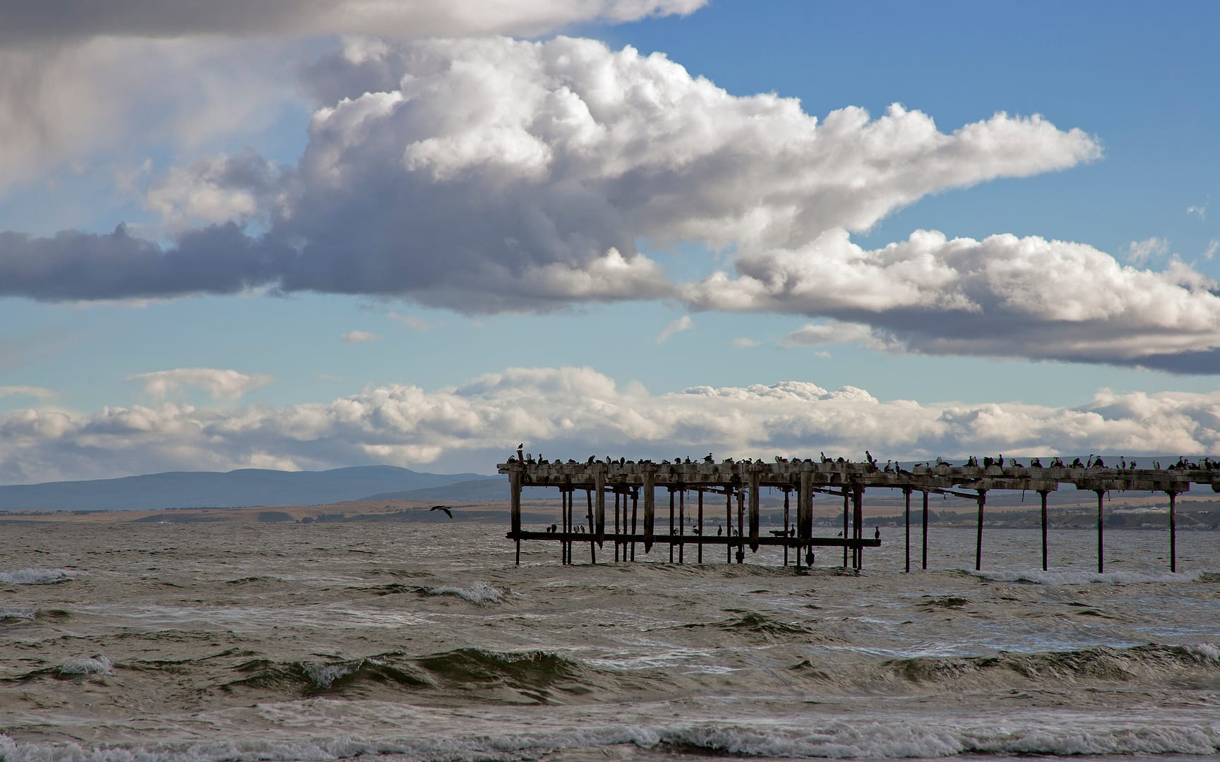 Chile — Punta Arenas — landscape