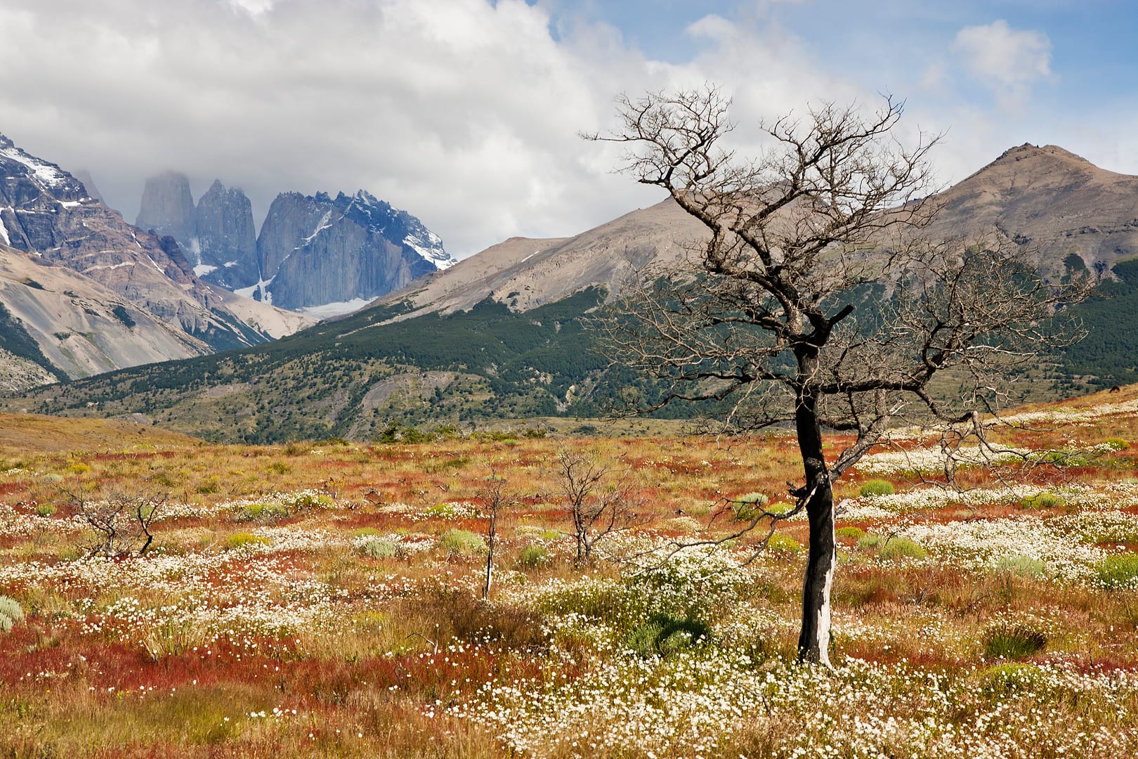 Chile — Torres del Paine — landscape