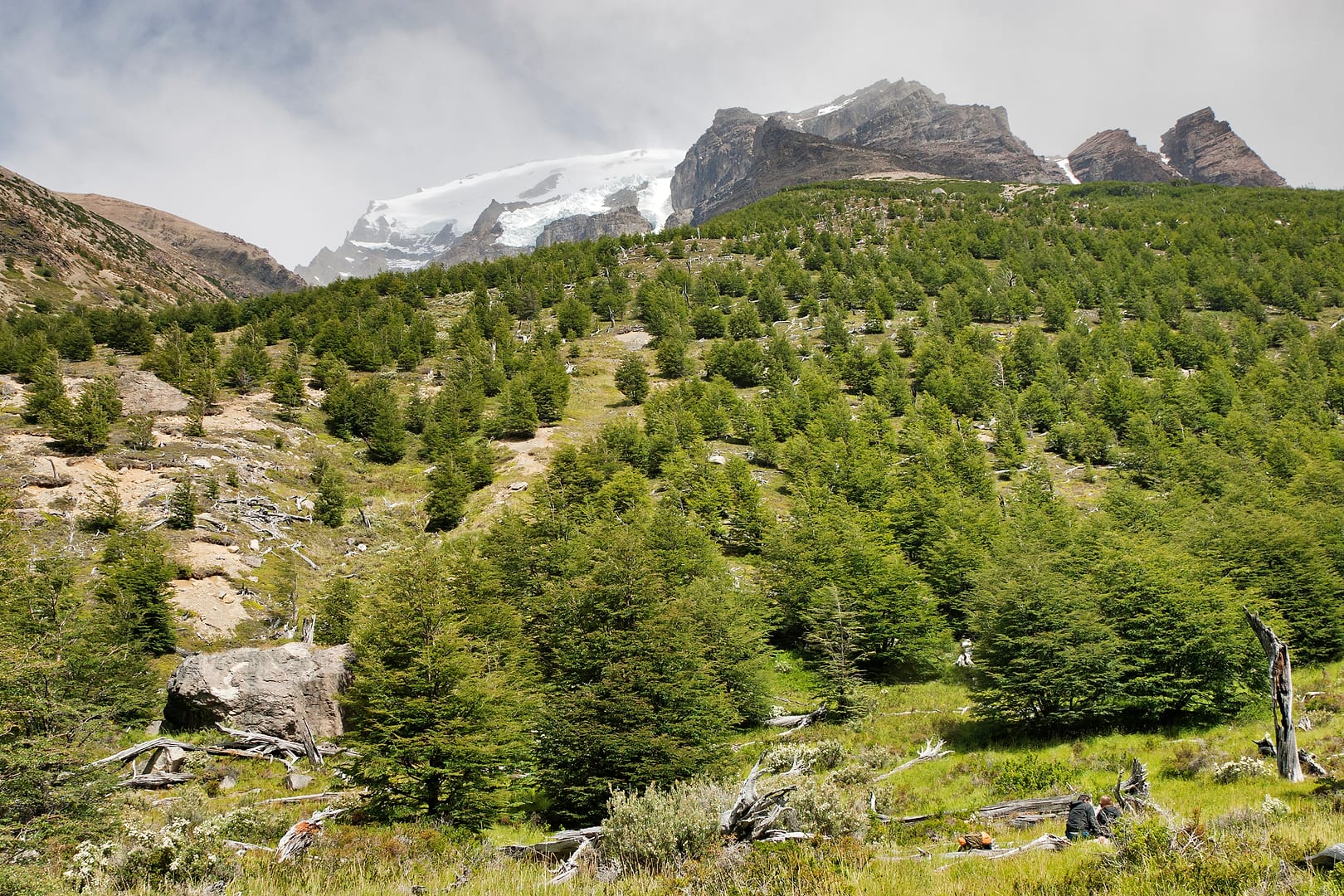 Chile — Torres del Paine — landscape
