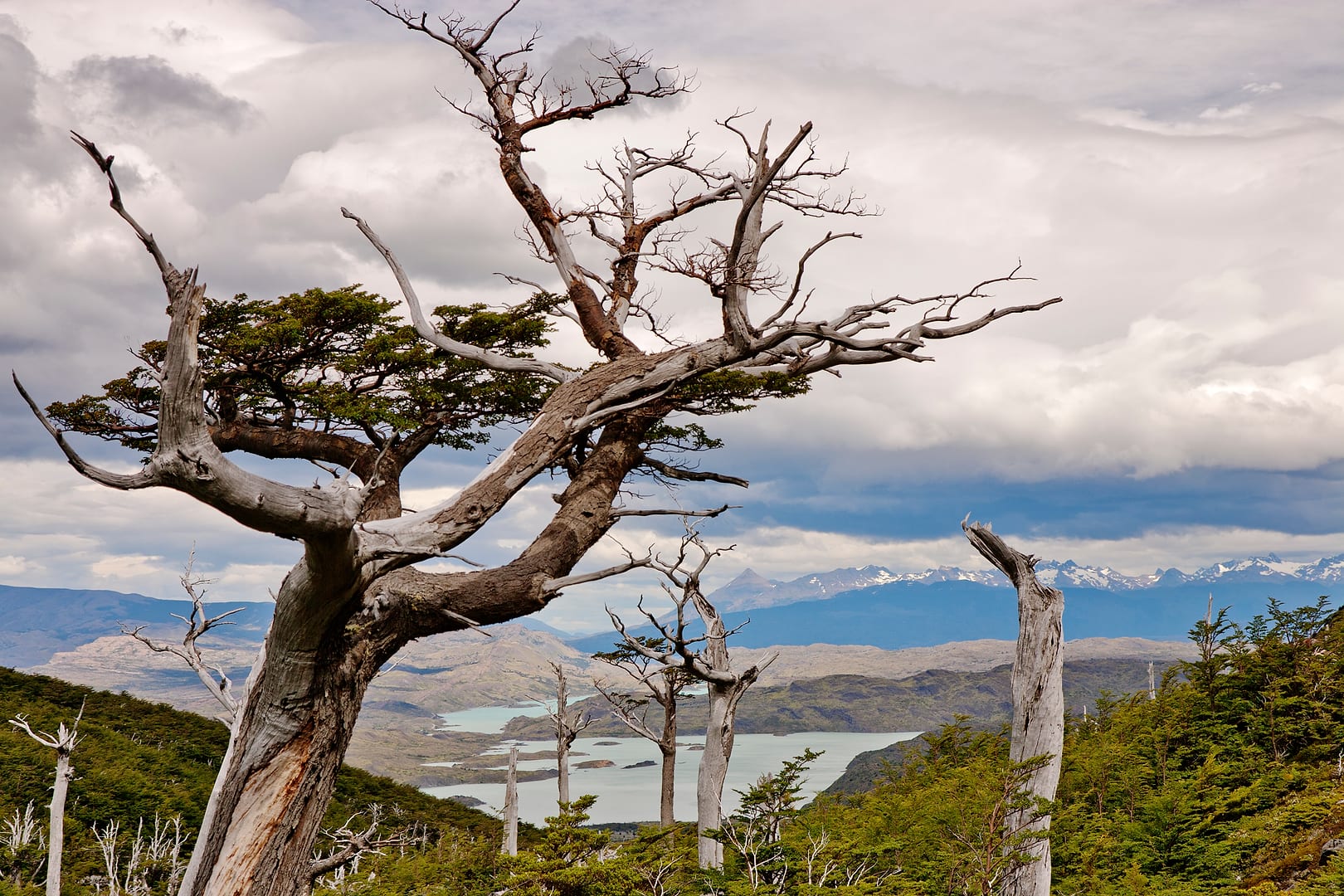 Chile — Torres del Paine — landscape