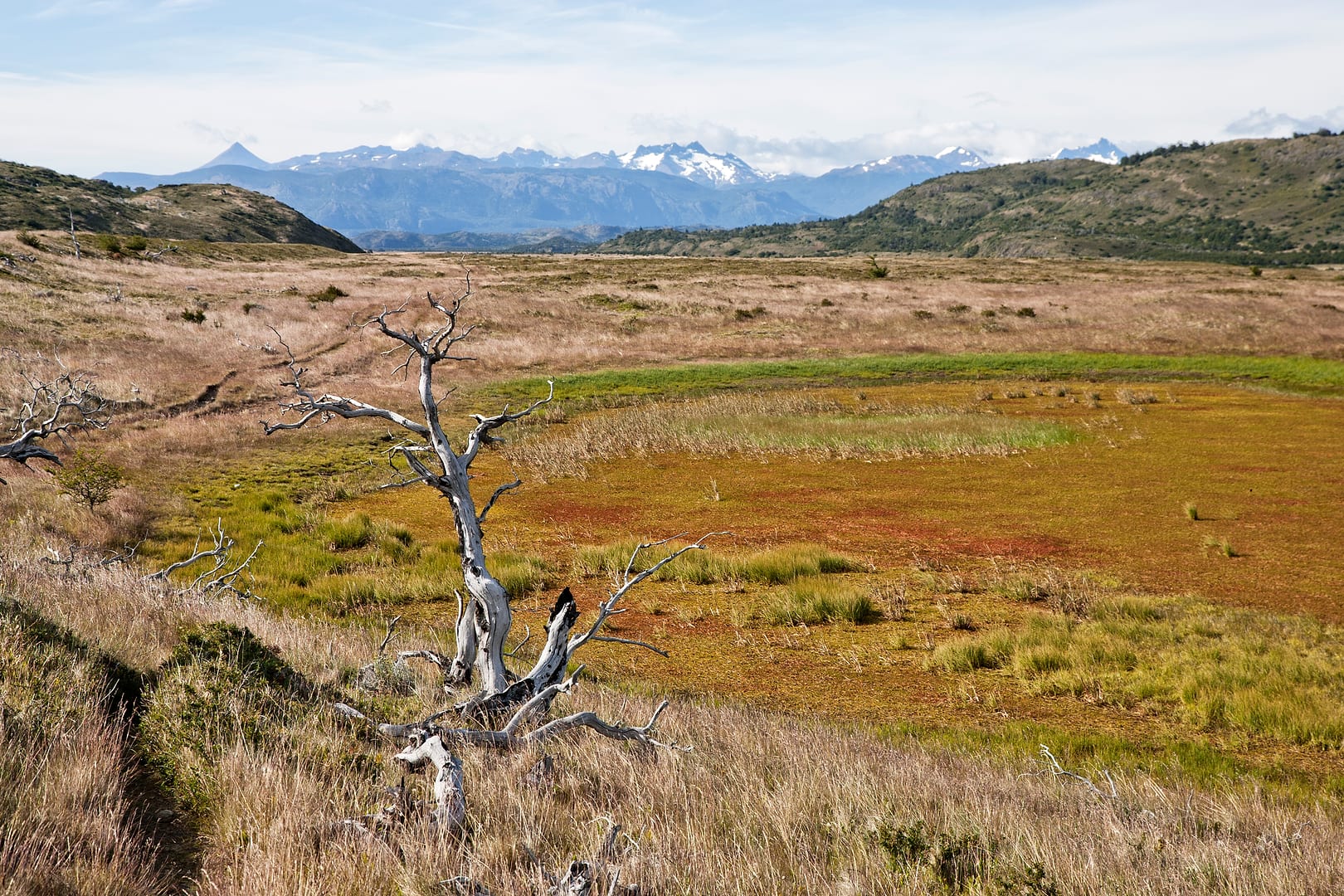 Chile — Torres del Paine — landscape
