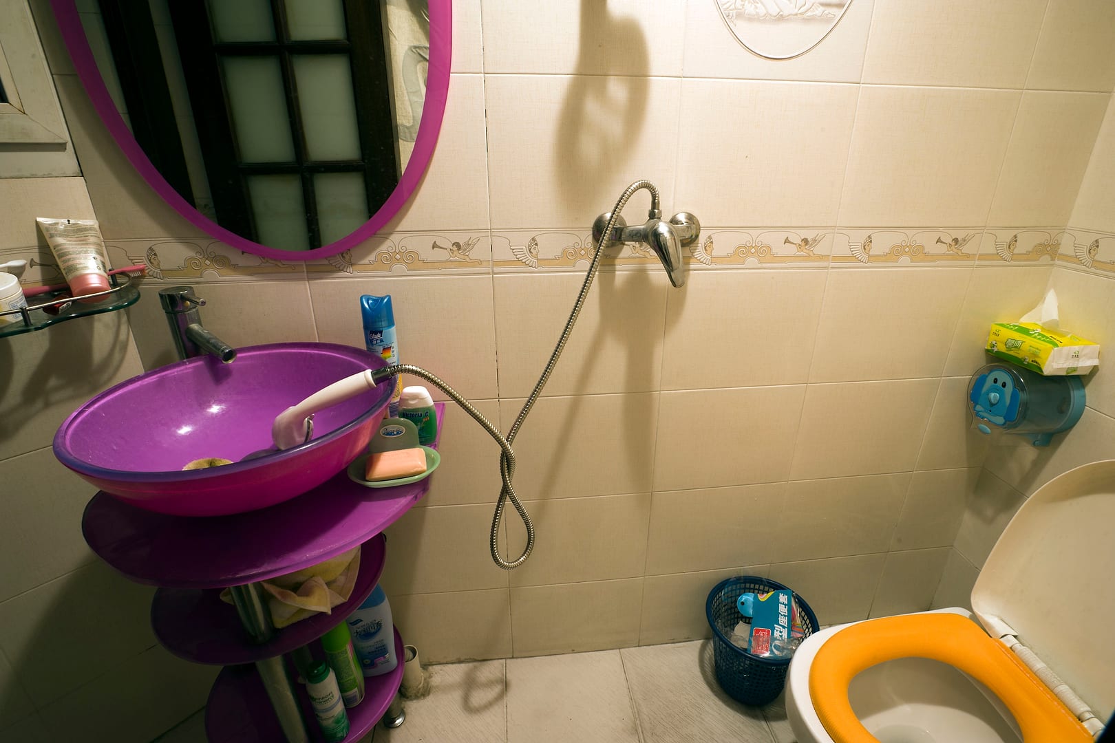 China — Chongqing — other