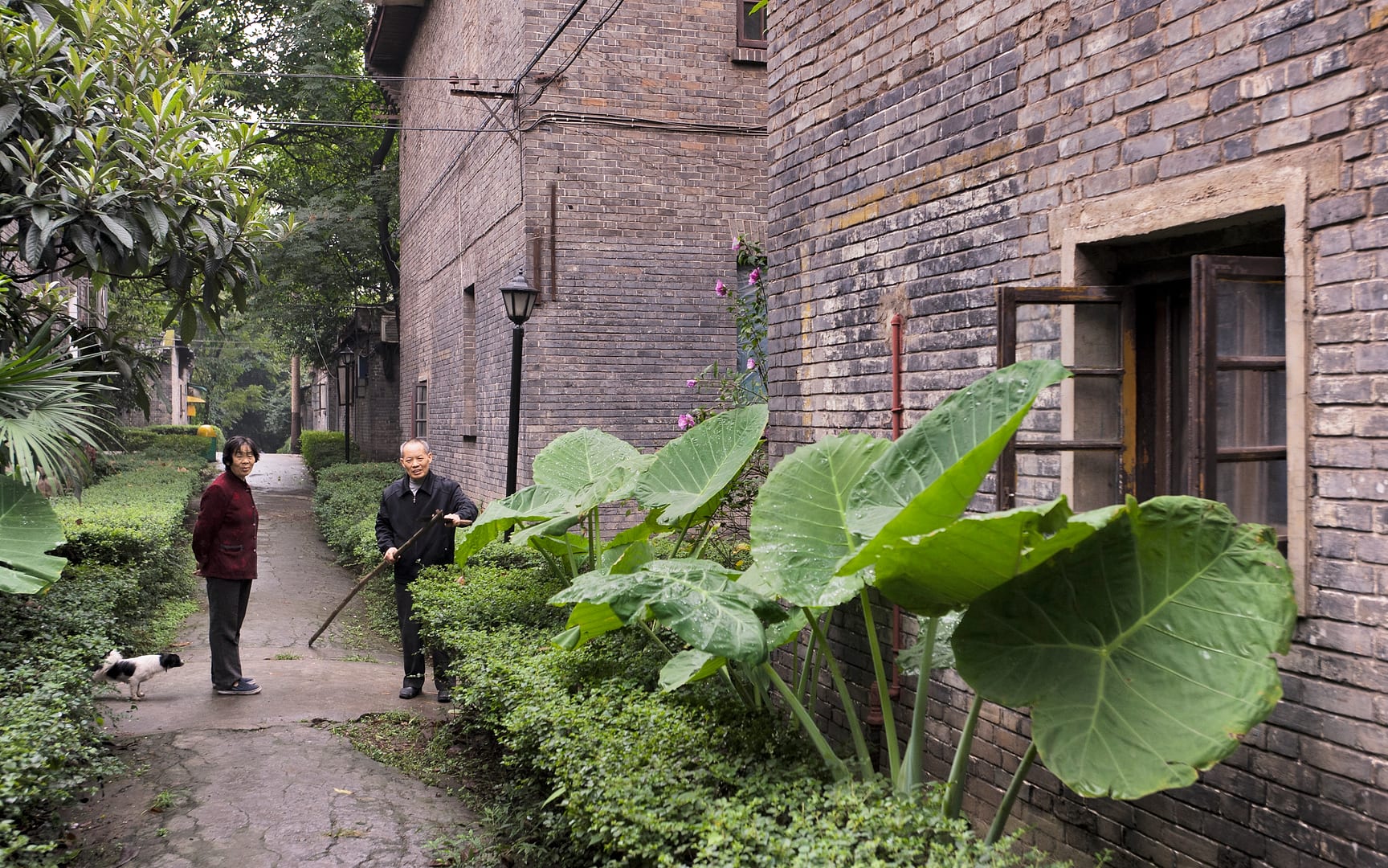 China — Chongqing — urban