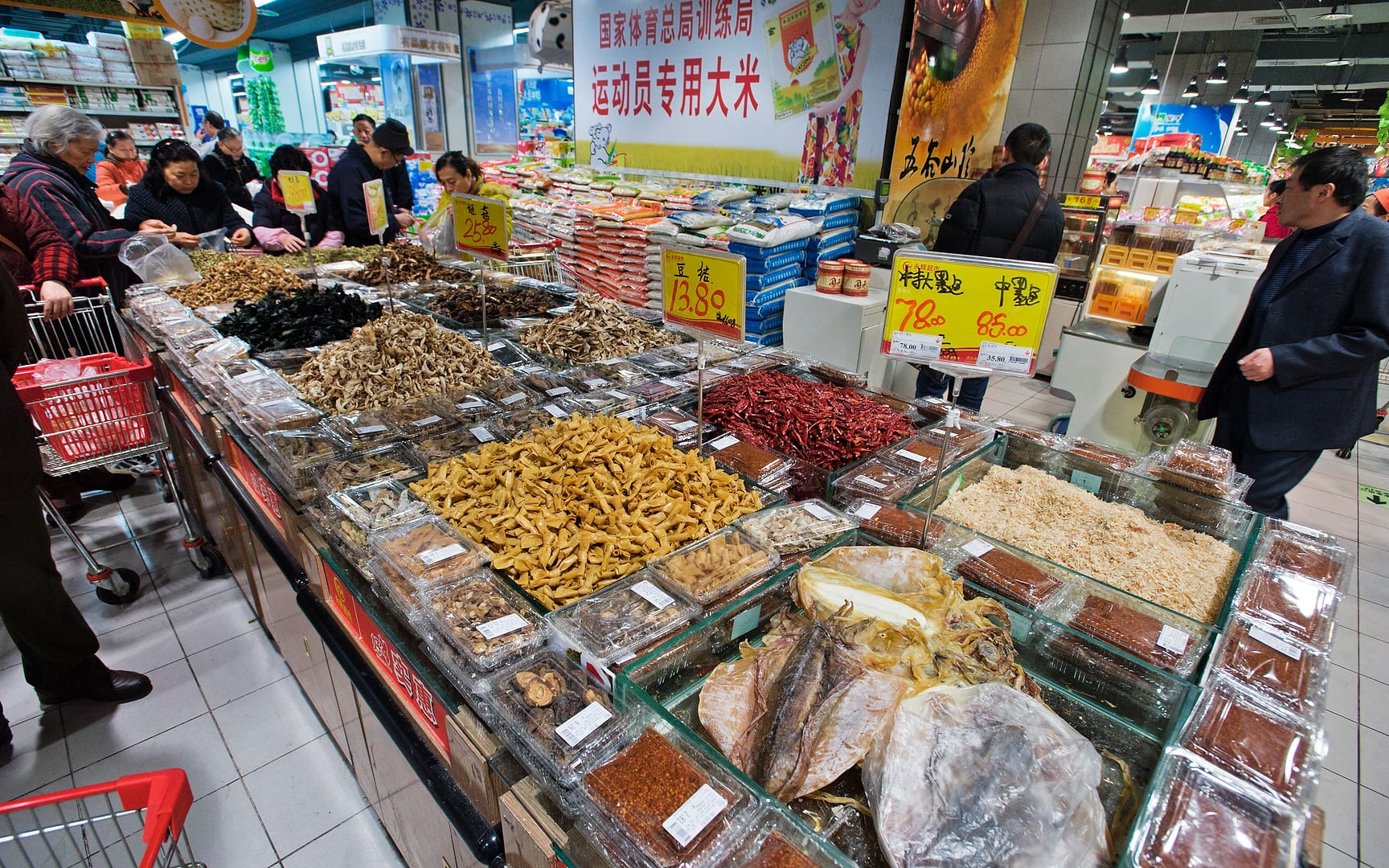 China — Chongqing — urban