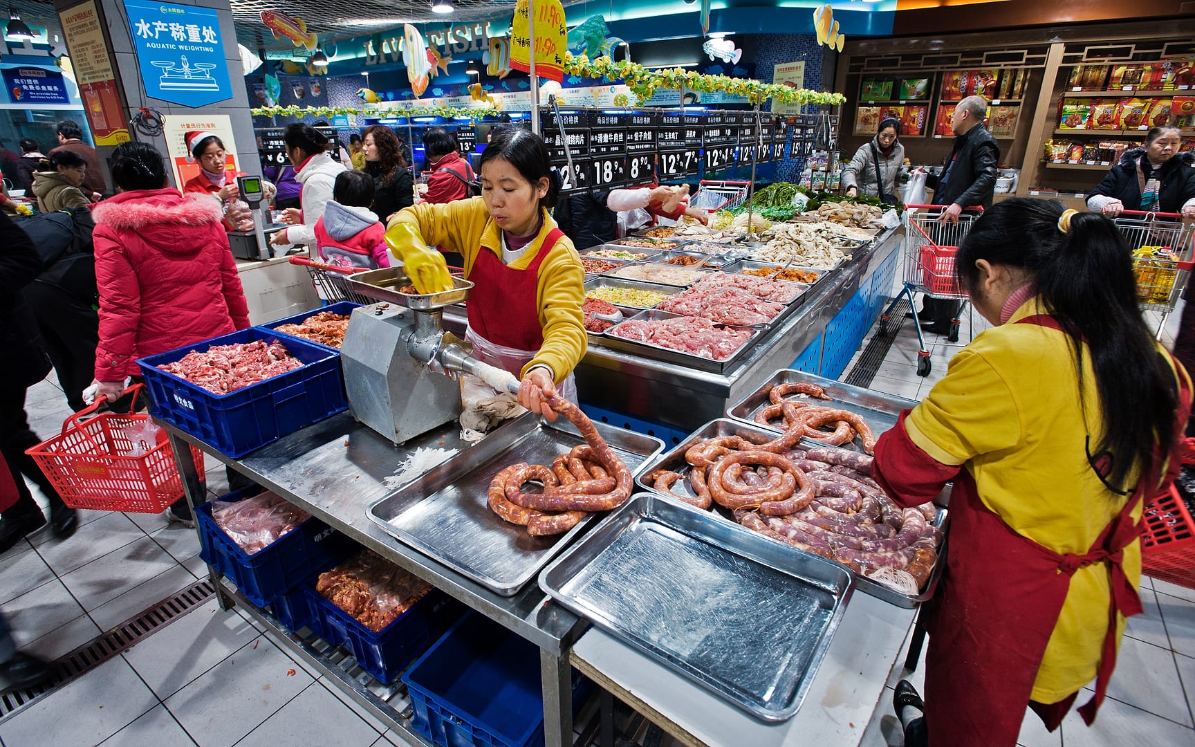 China — Chongqing — urban