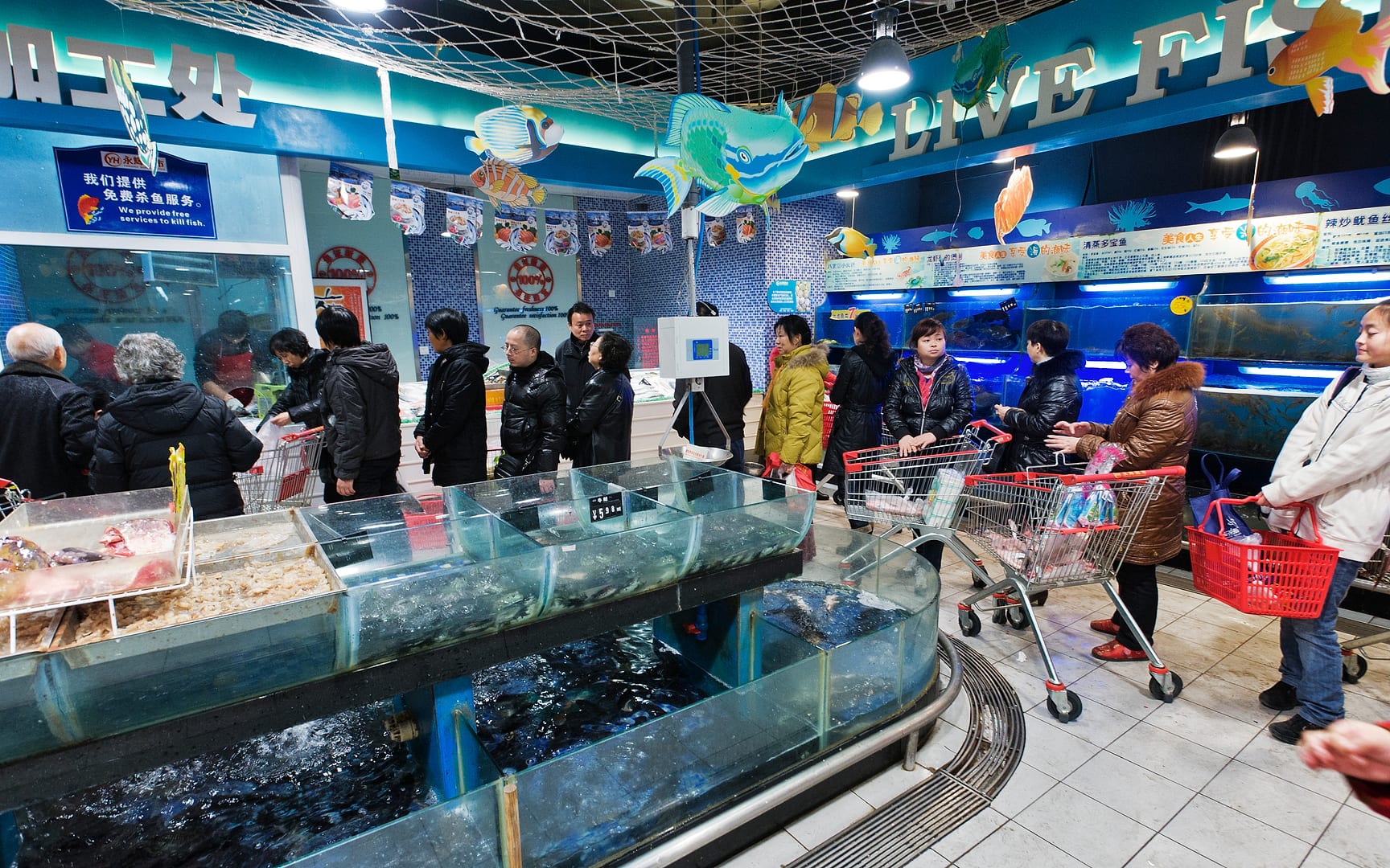 China — Chongqing — urban