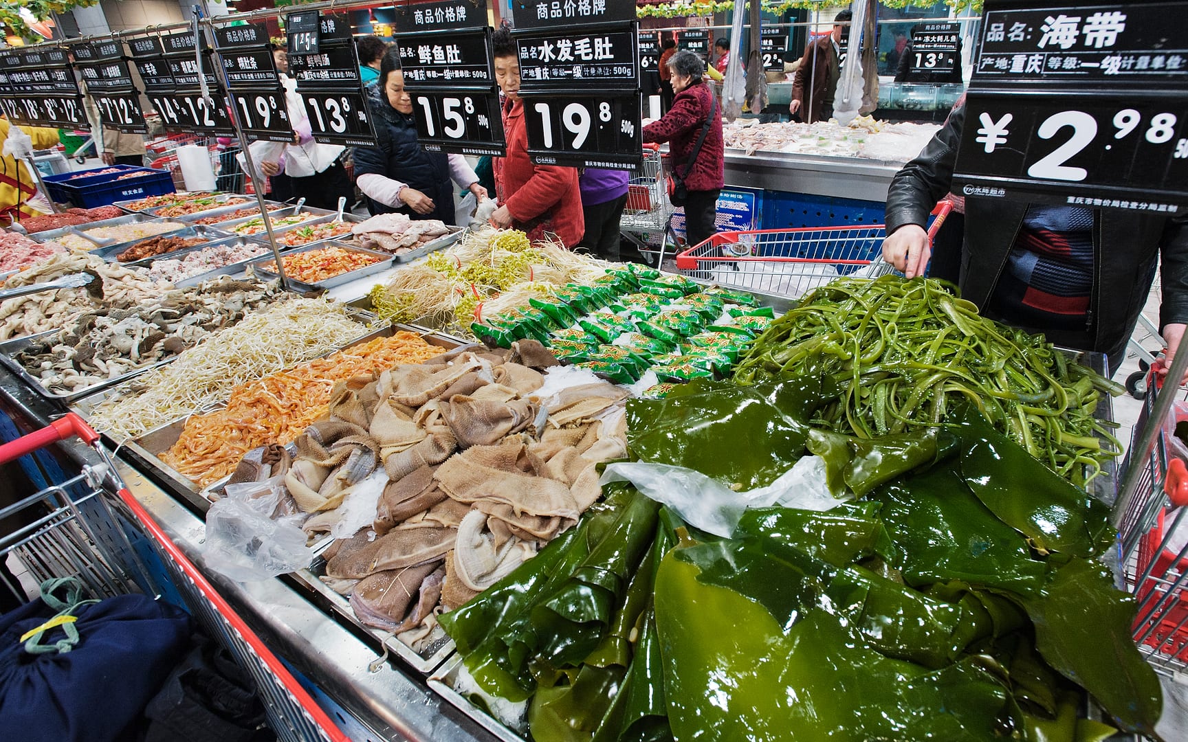 China — Chongqing — urban