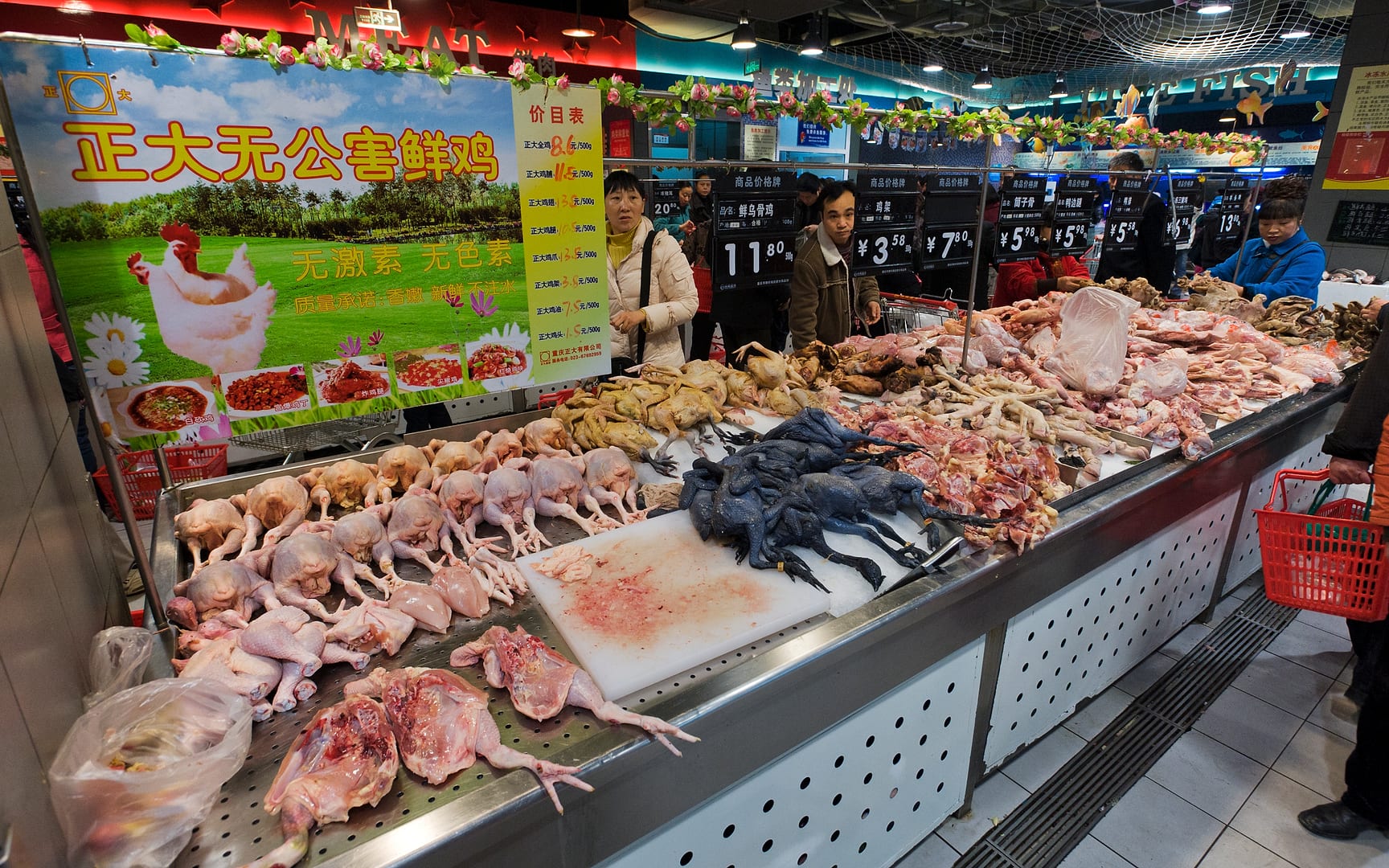 China — Chongqing — urban