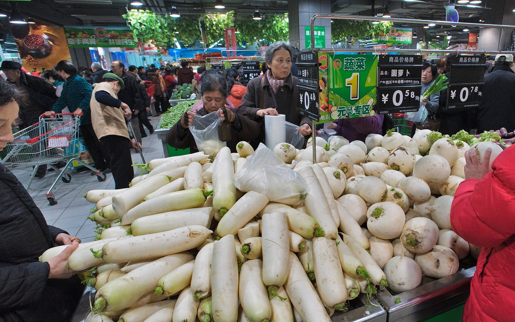 China — Chongqing — urban