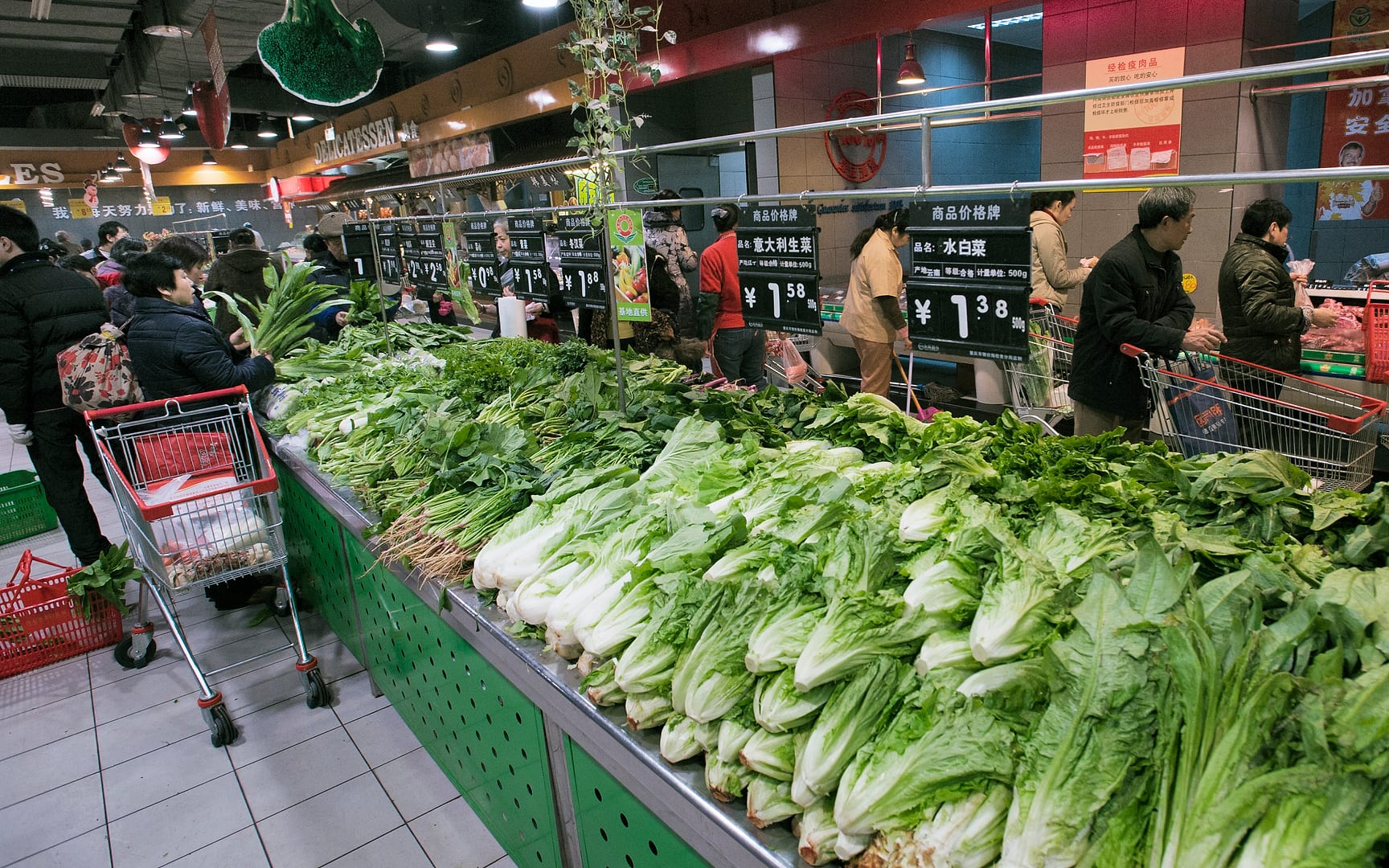 China — Chongqing — urban