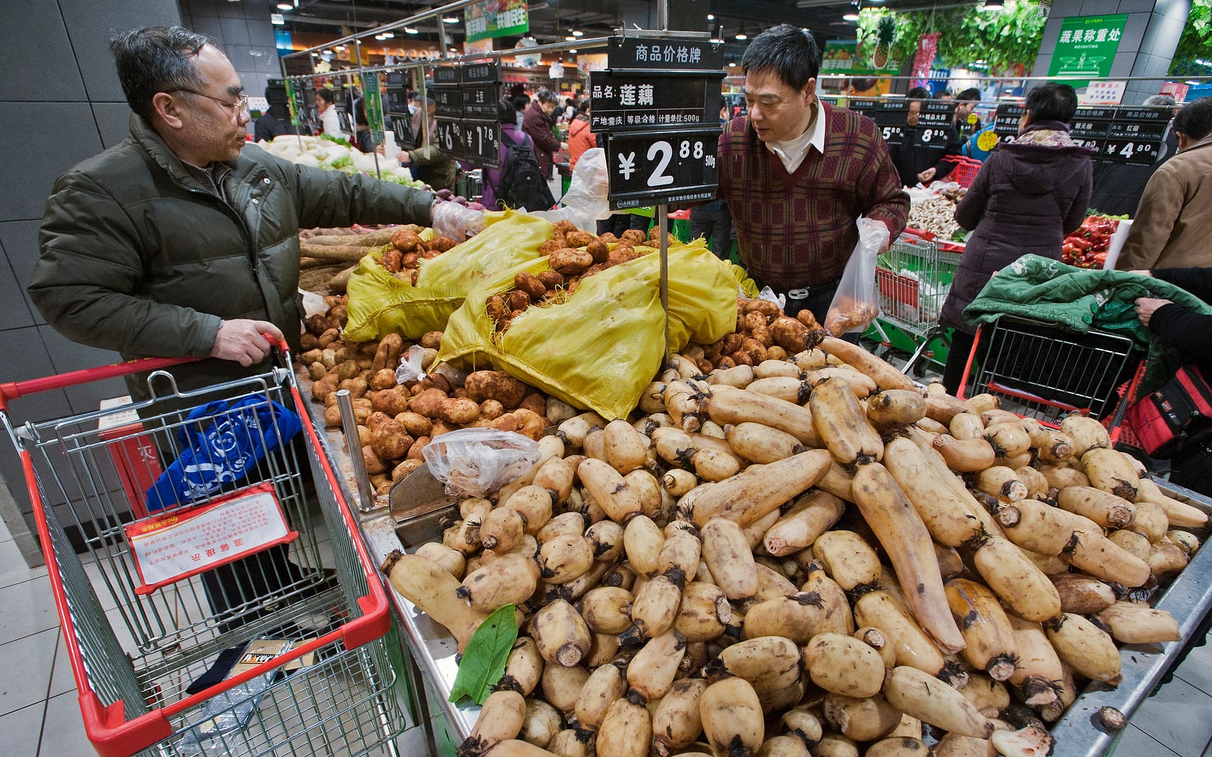 China — Chongqing — urban
