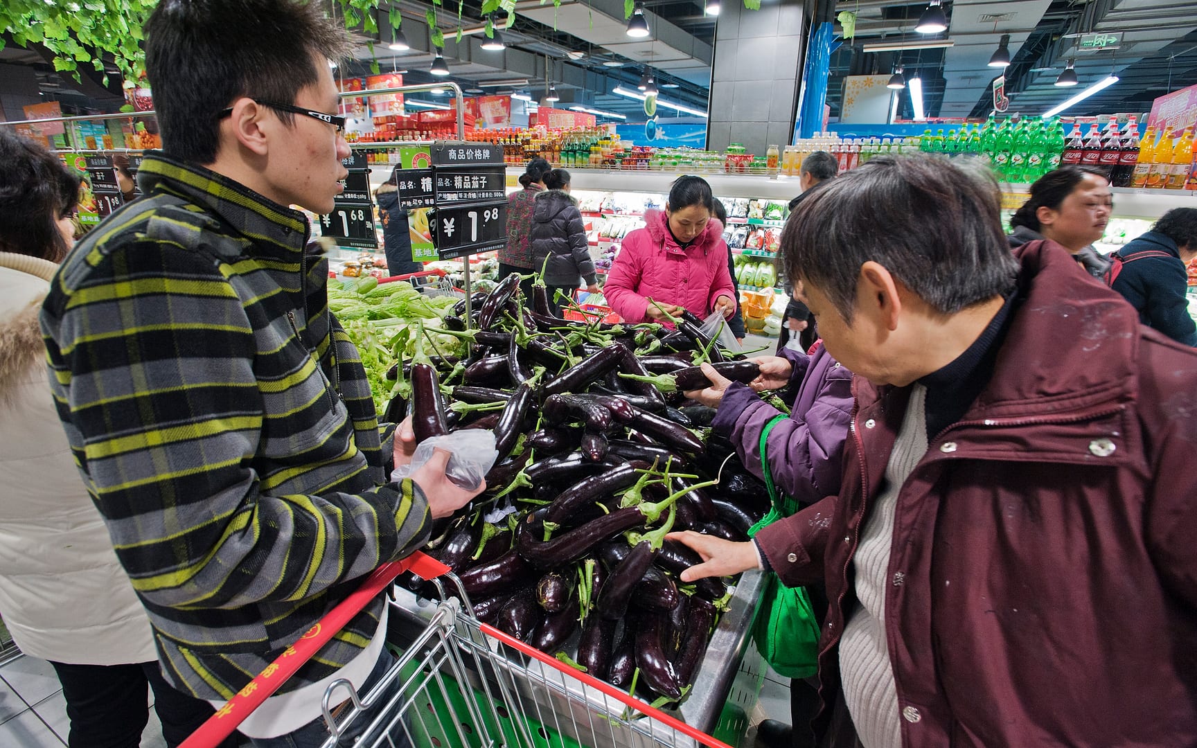 China — Chongqing — urban