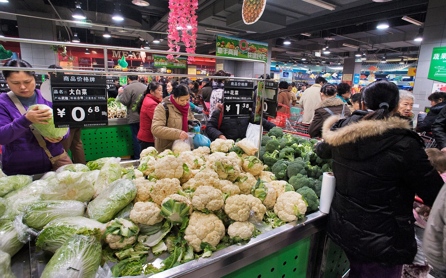 China — Chongqing — urban