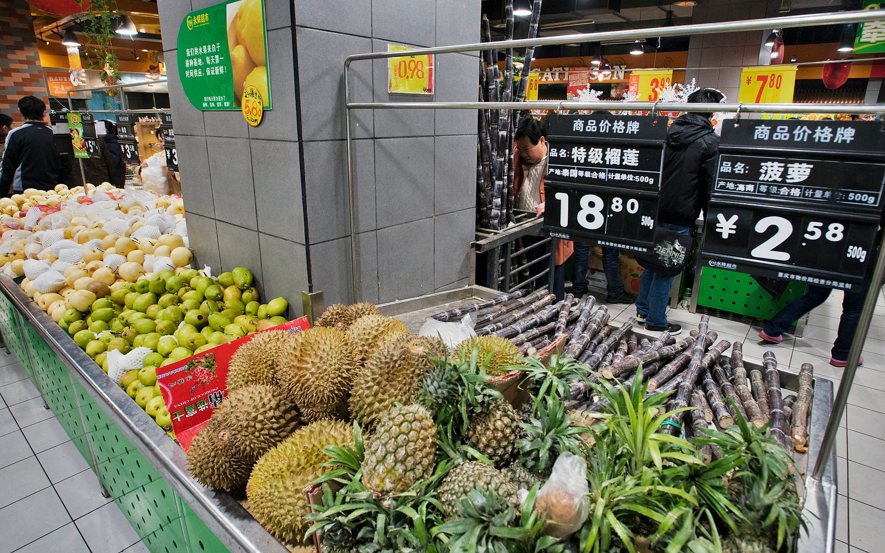 China — Chongqing — urban