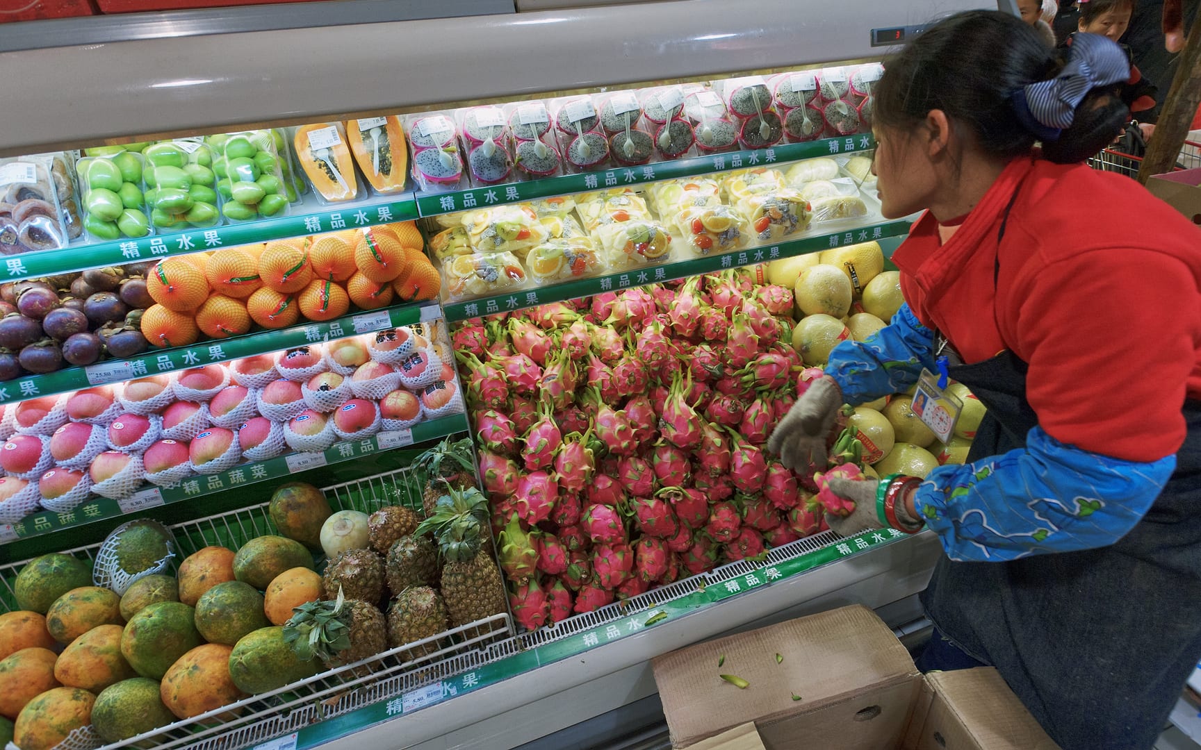 China — Chongqing — other