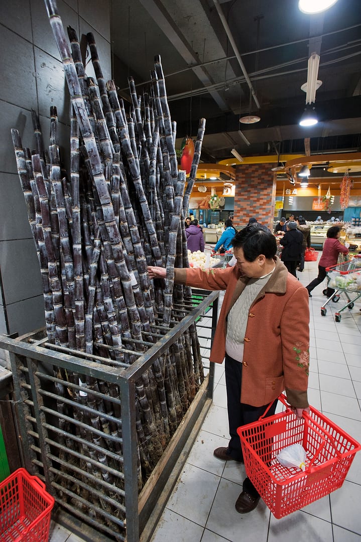 China — Chongqing — urban