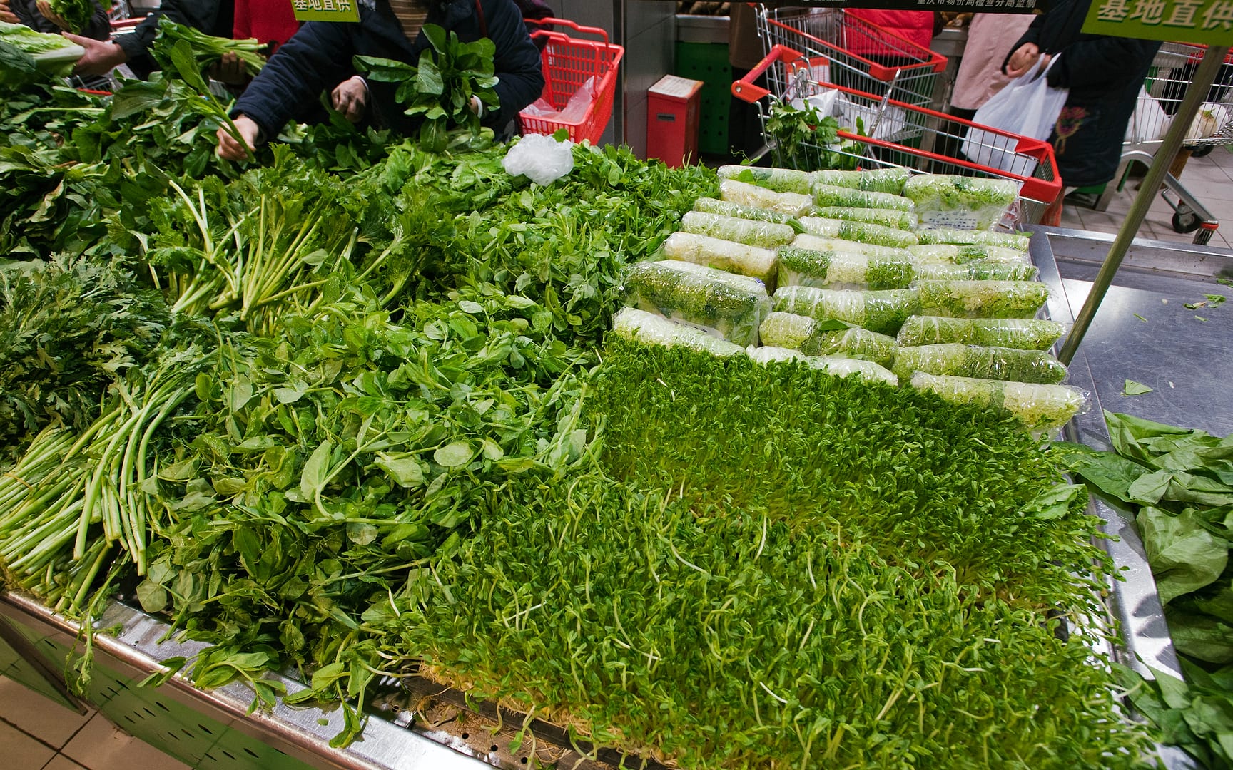 China — Chongqing — urban