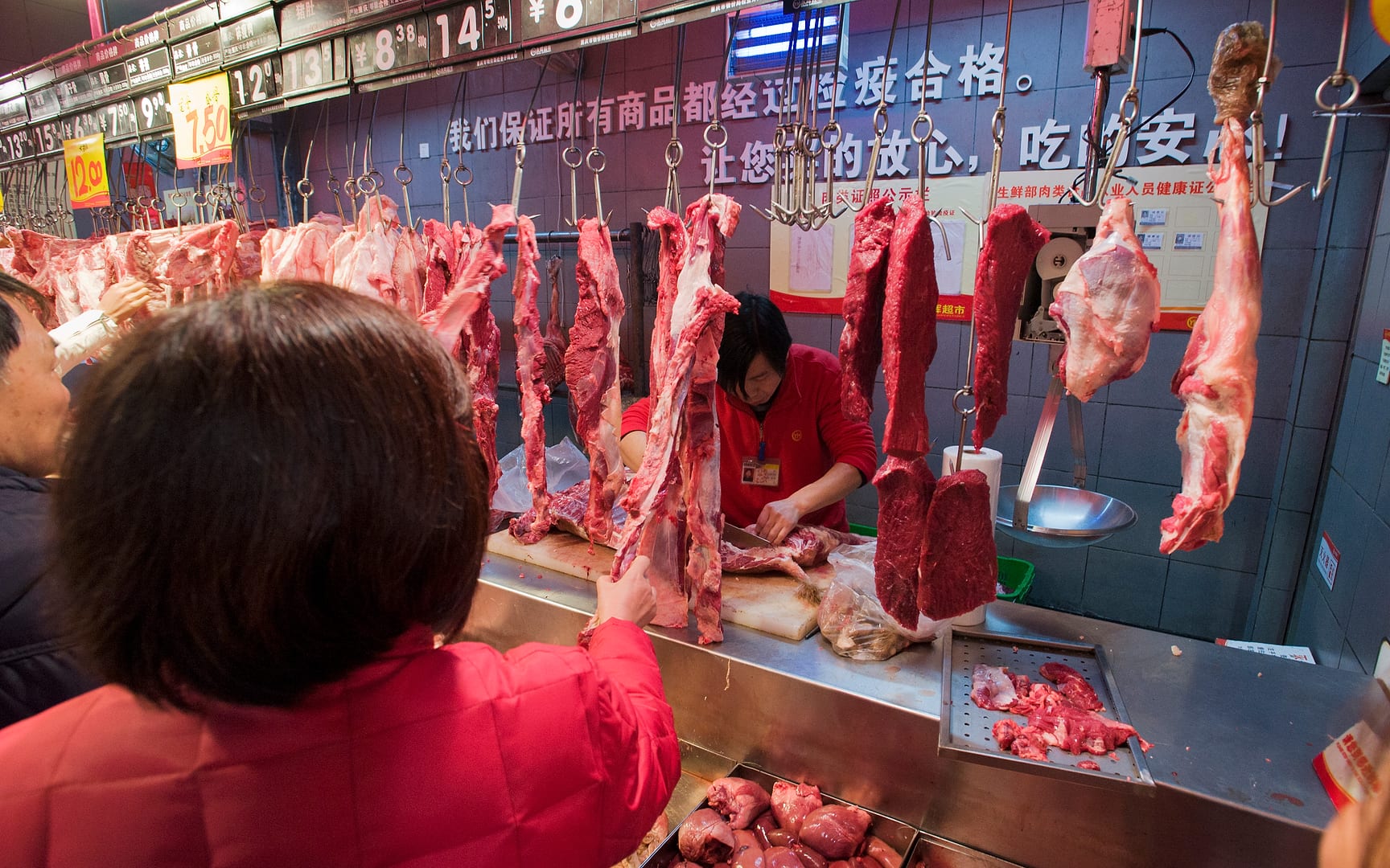 China — Chongqing — urban