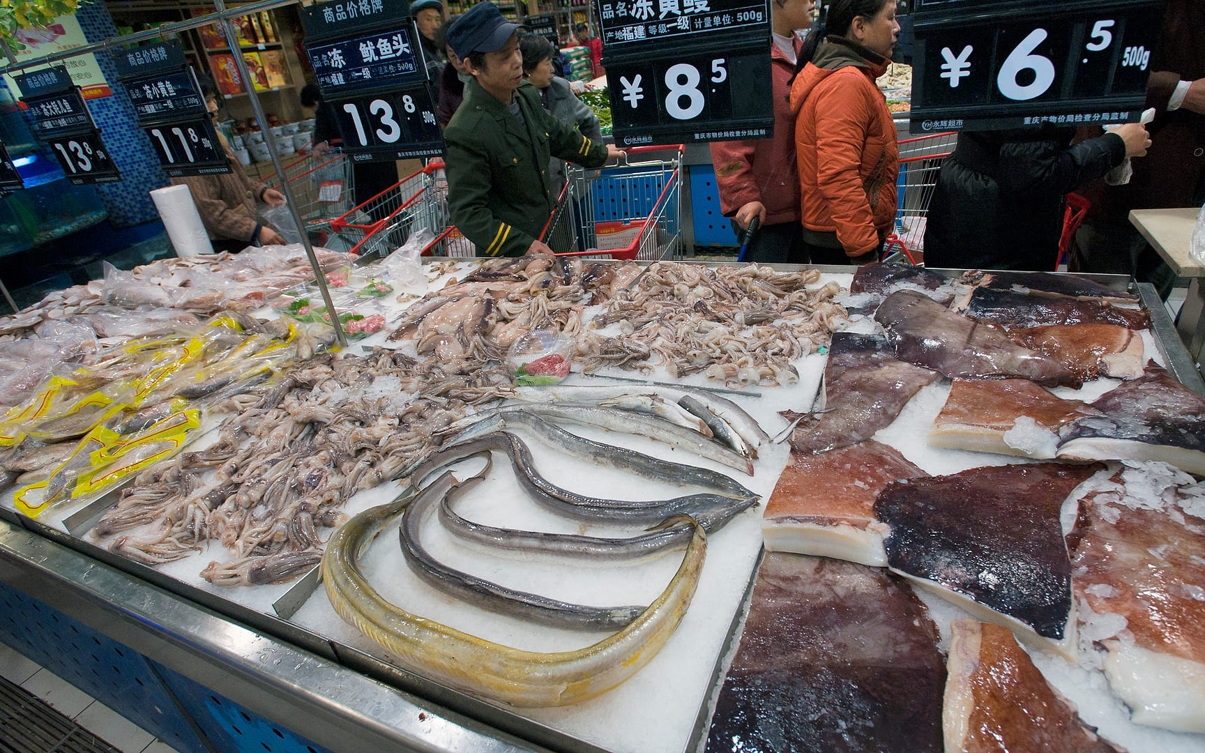 China — Chongqing — urban