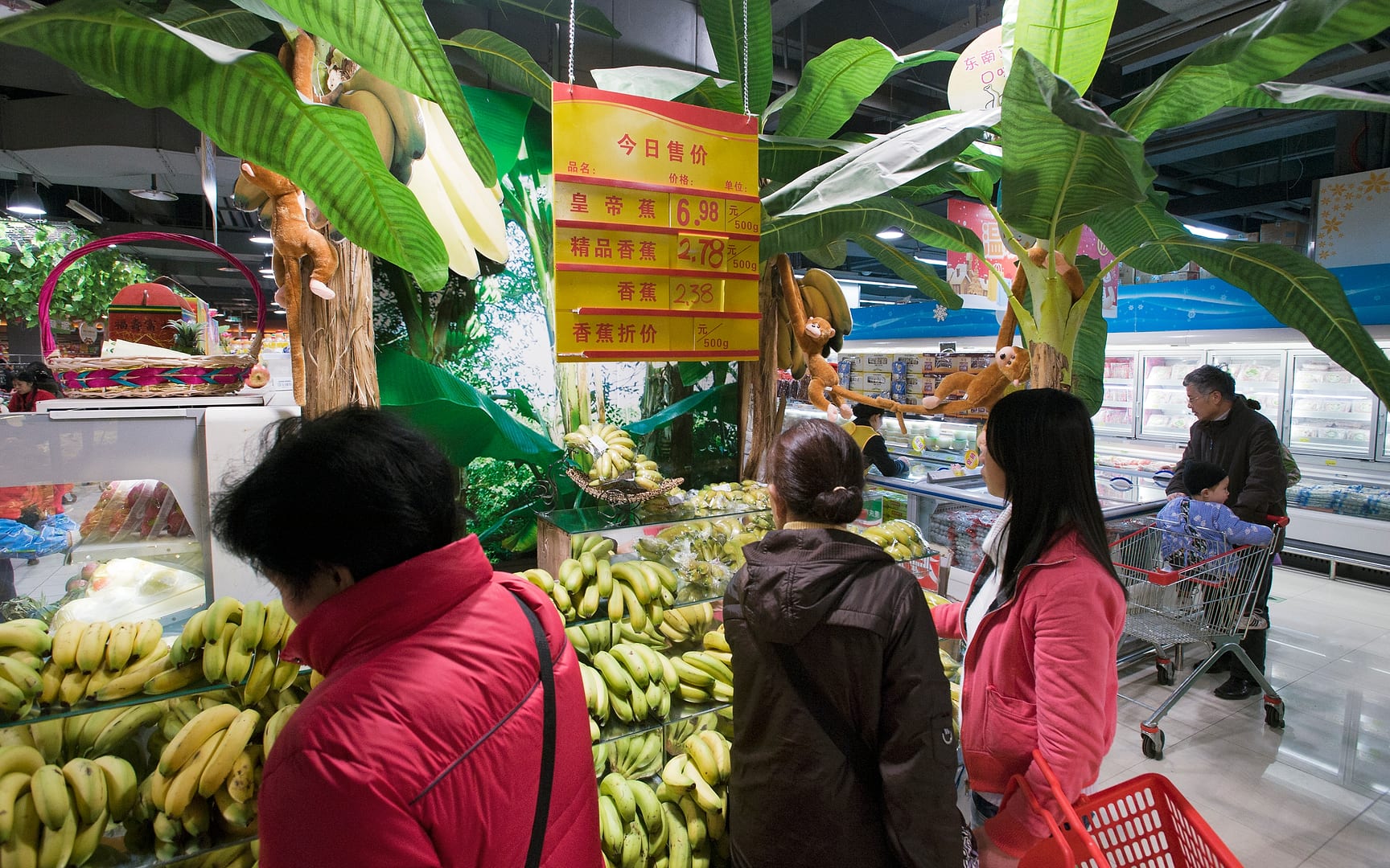 China — Chongqing — urban