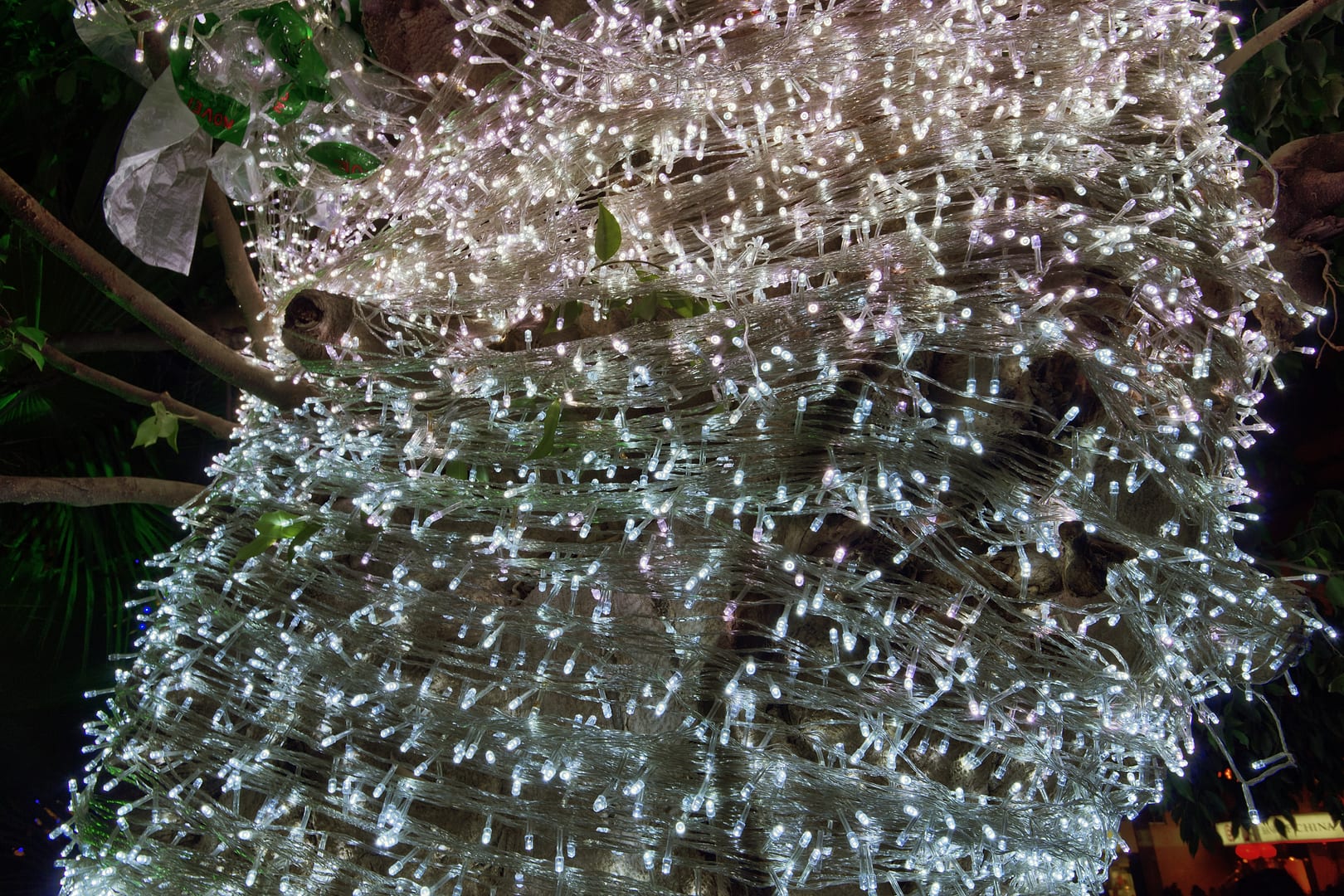 China — Chongqing — urban