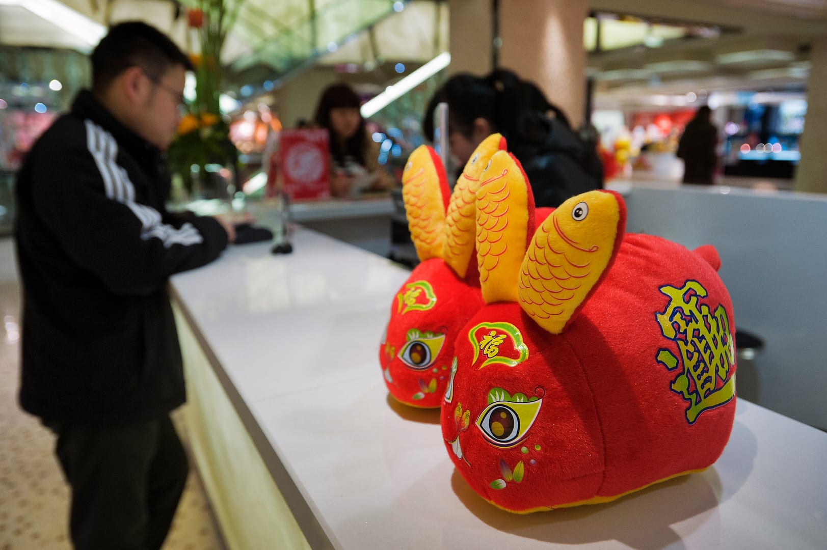 China — Chongqing — urban