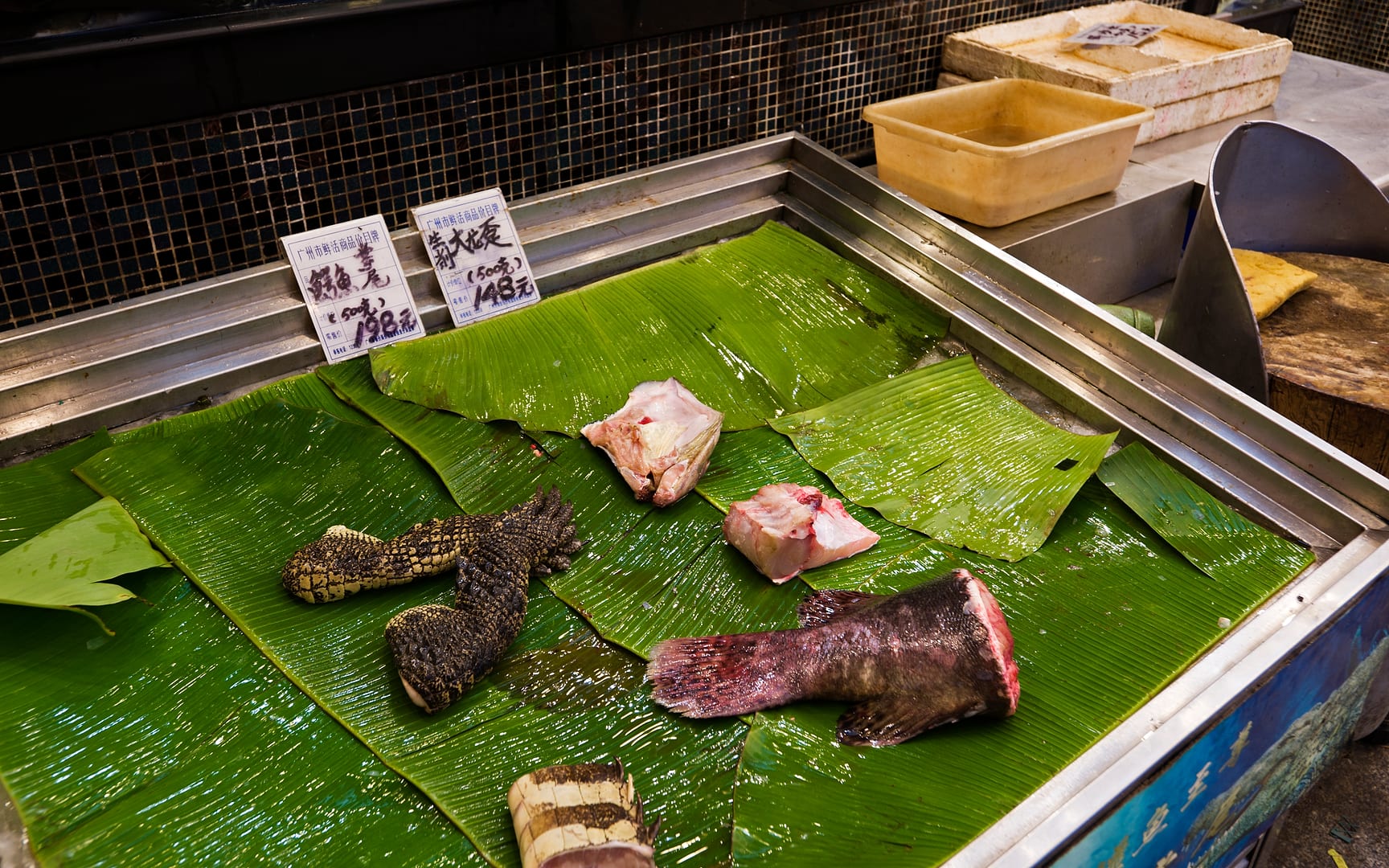 China — Guangzhou — urban