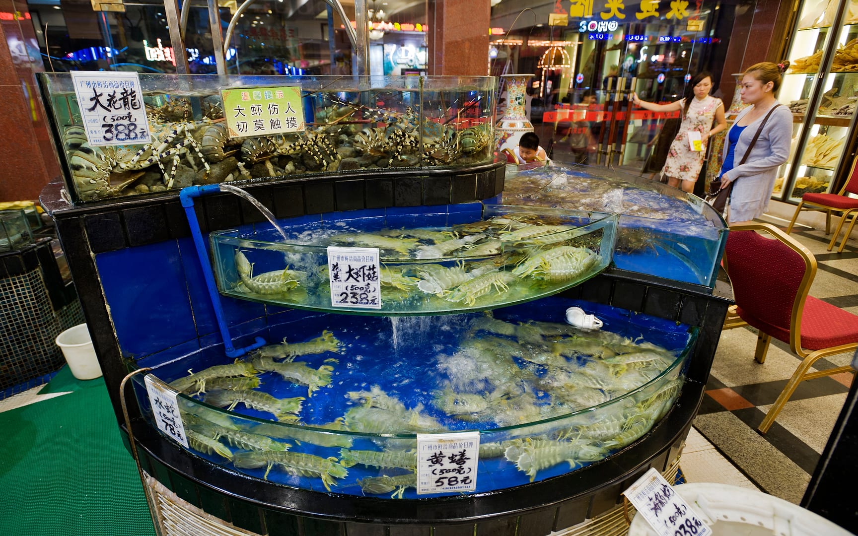 China — Guangzhou — urban