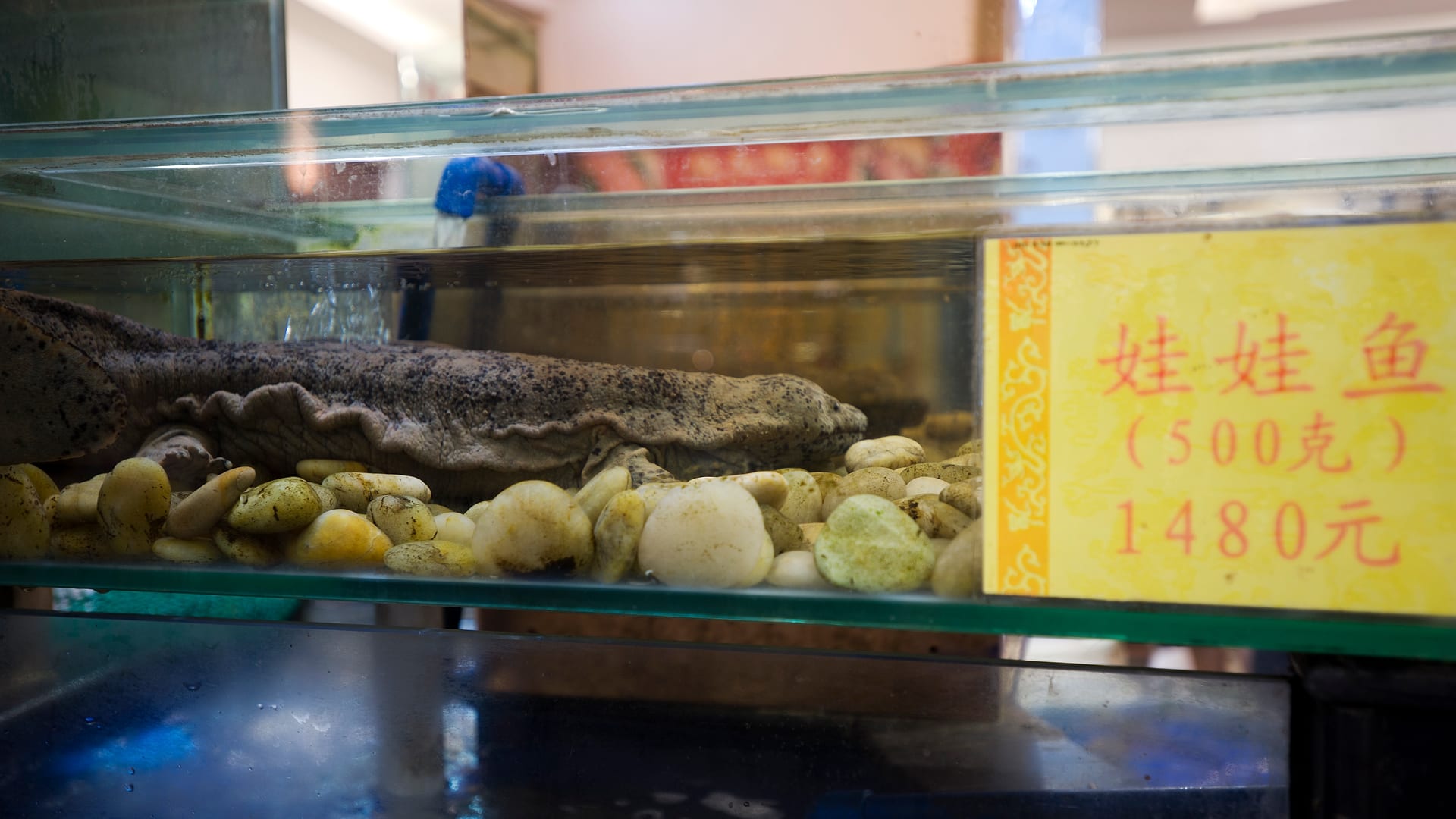 China — Guangzhou — other