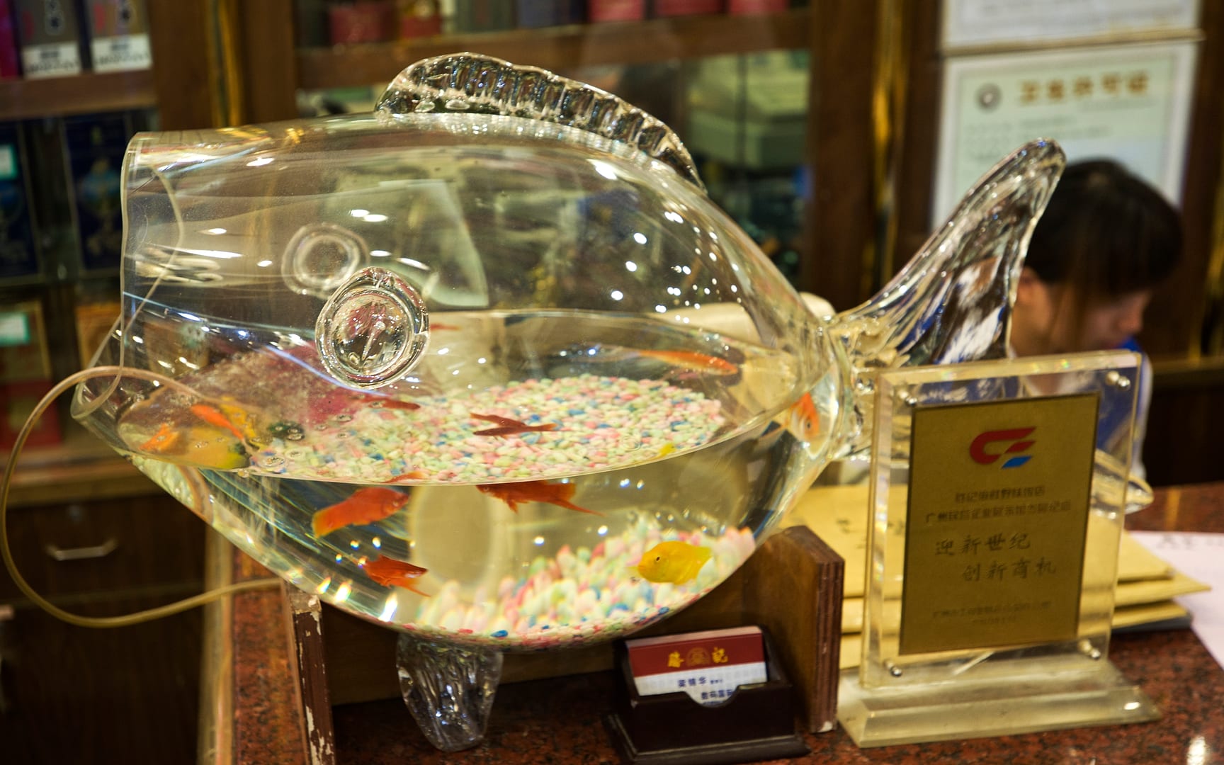 China — Guangzhou — product