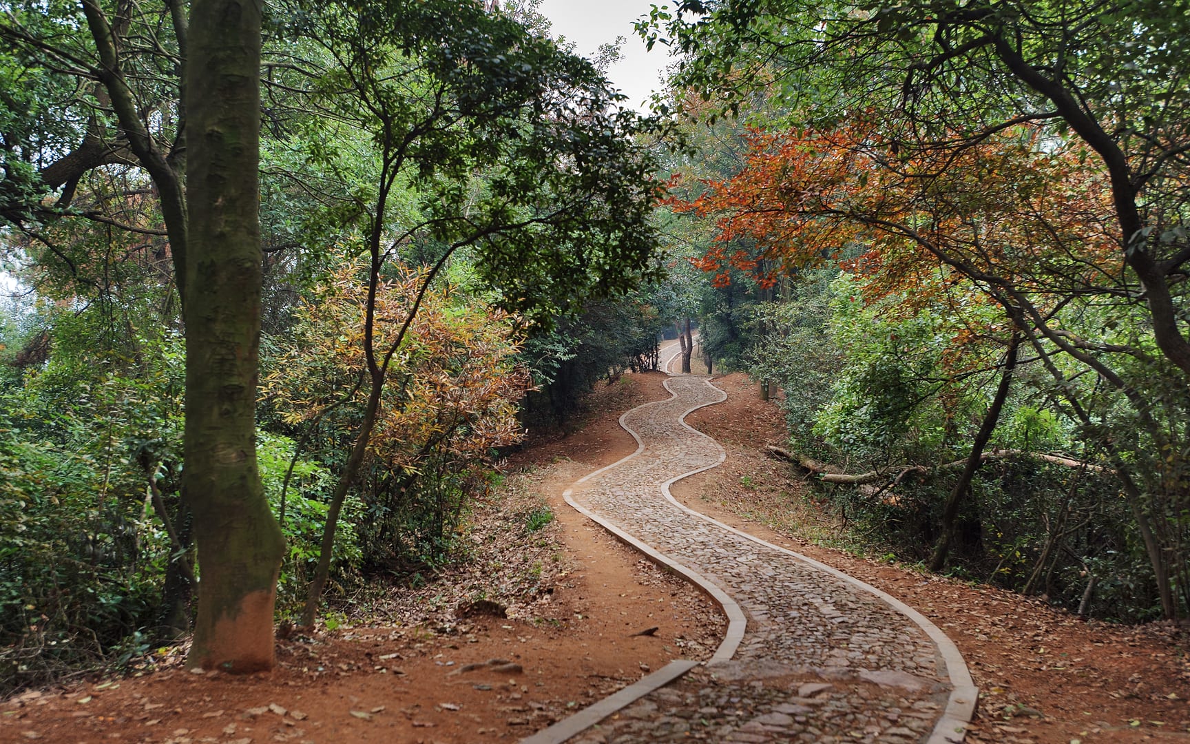 China — Hangzhou — landscape