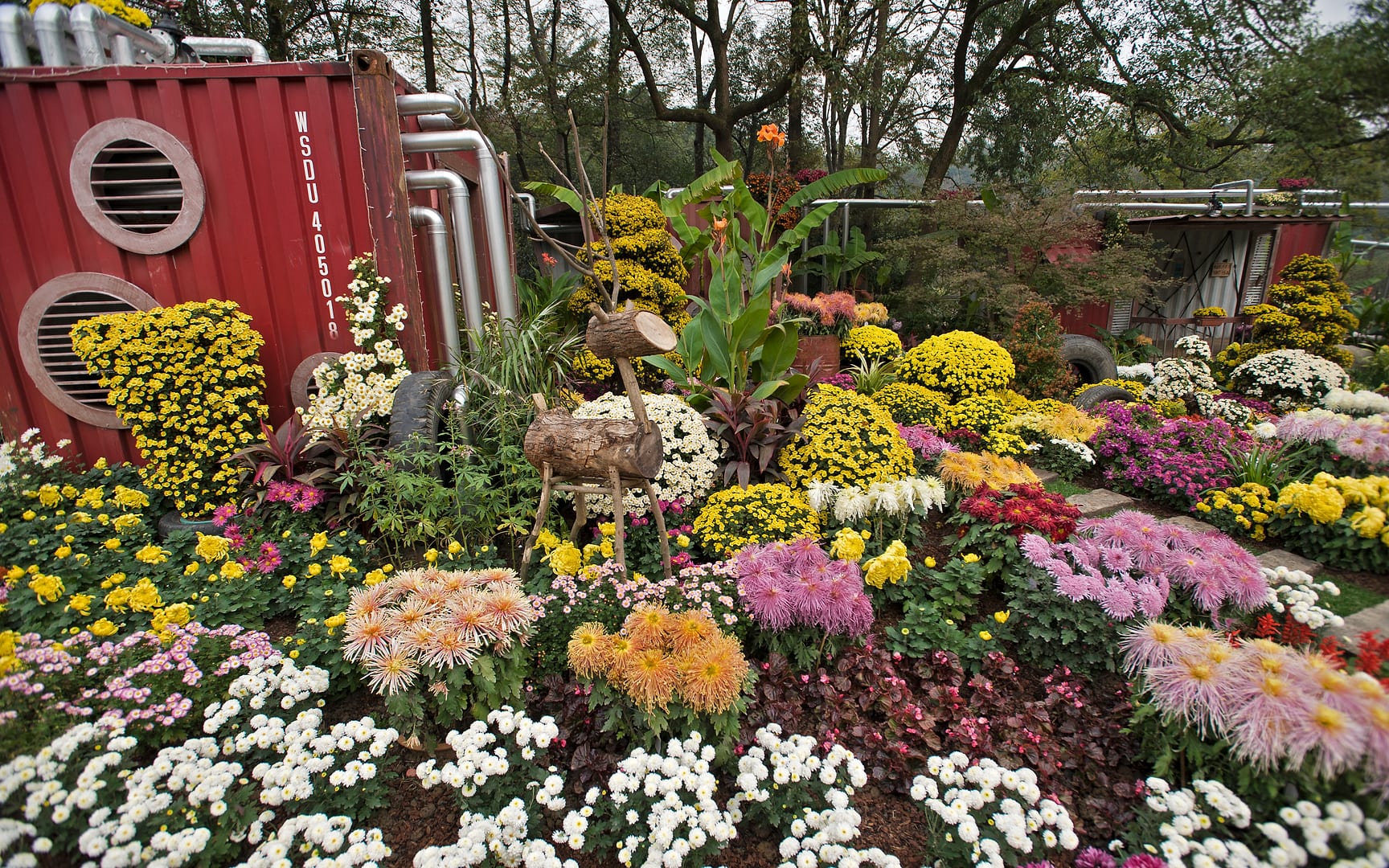 China — Hangzhou — landscape