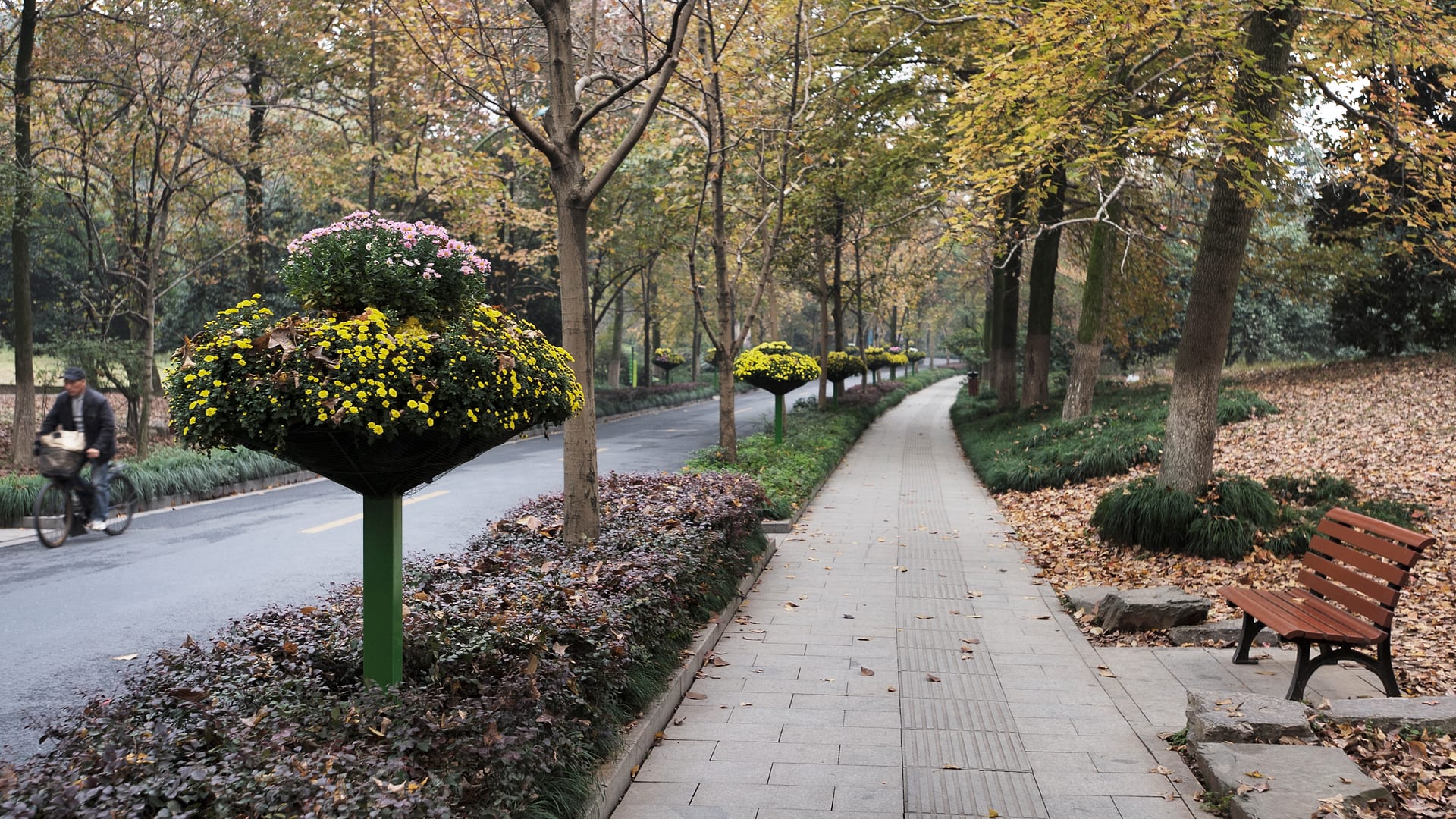 China — Hangzhou — landscape