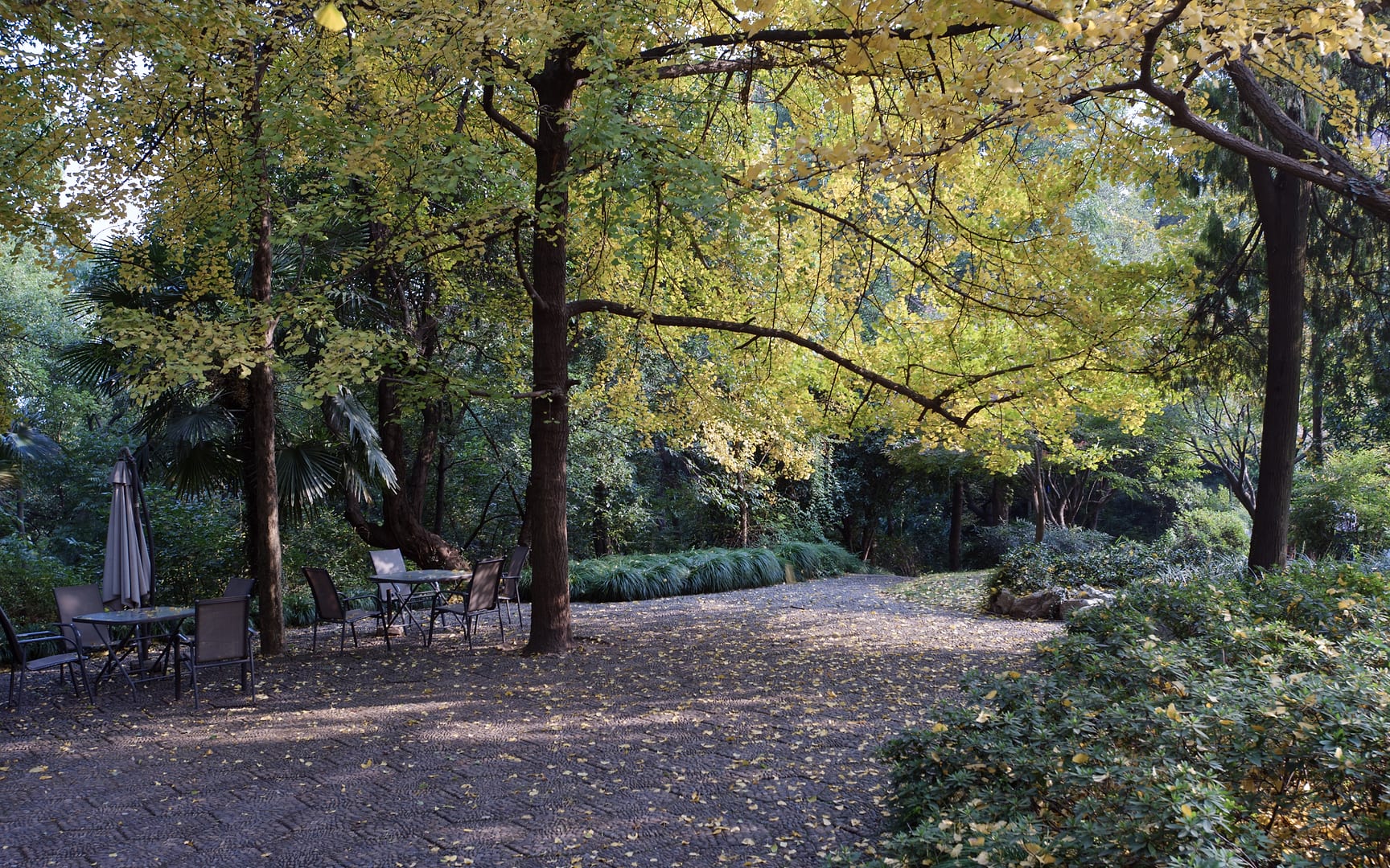 China — Hangzhou — landscape