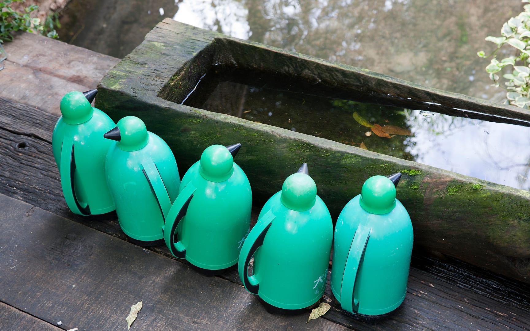 China — Lijiang — product