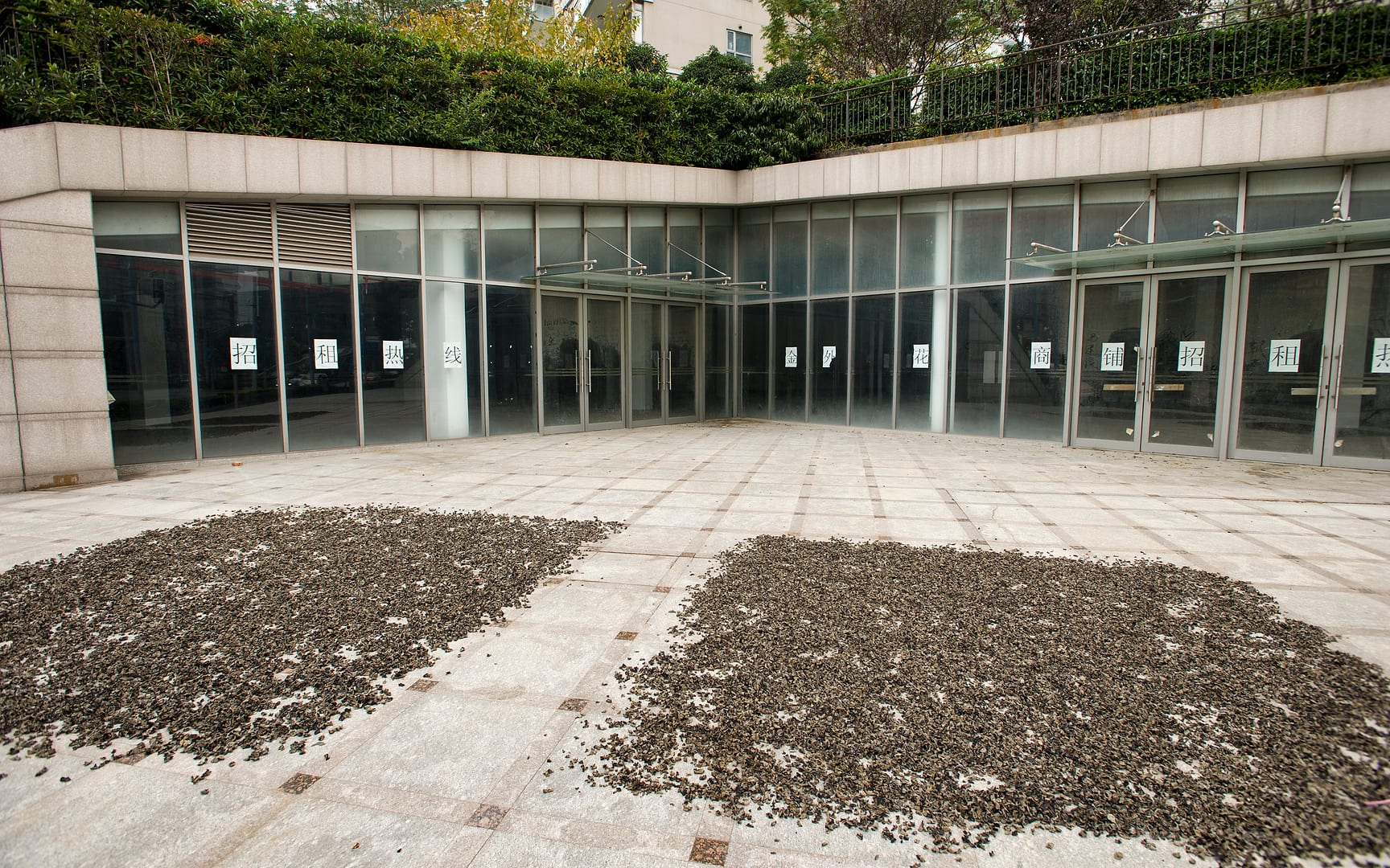 China — Shanghai — urban