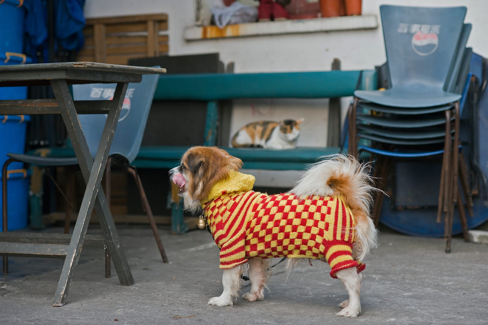 China — Shanghai — urban