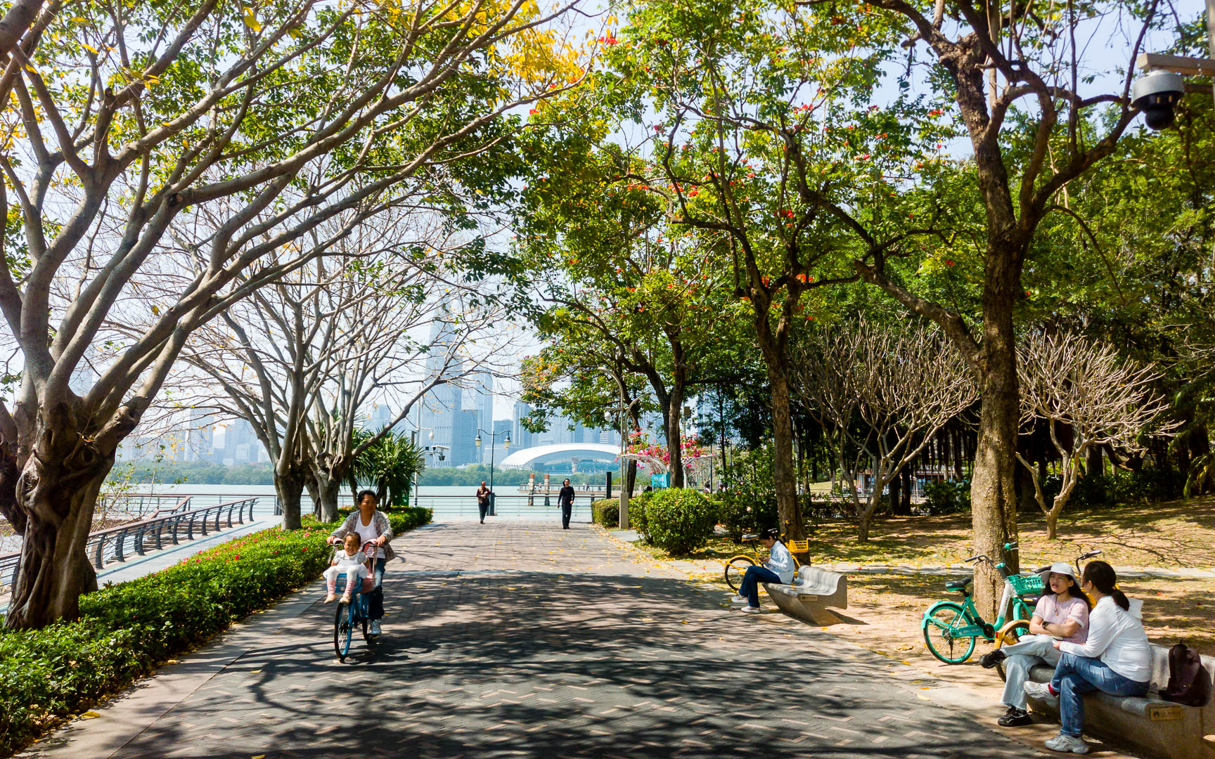 China — Shenzhen — urban