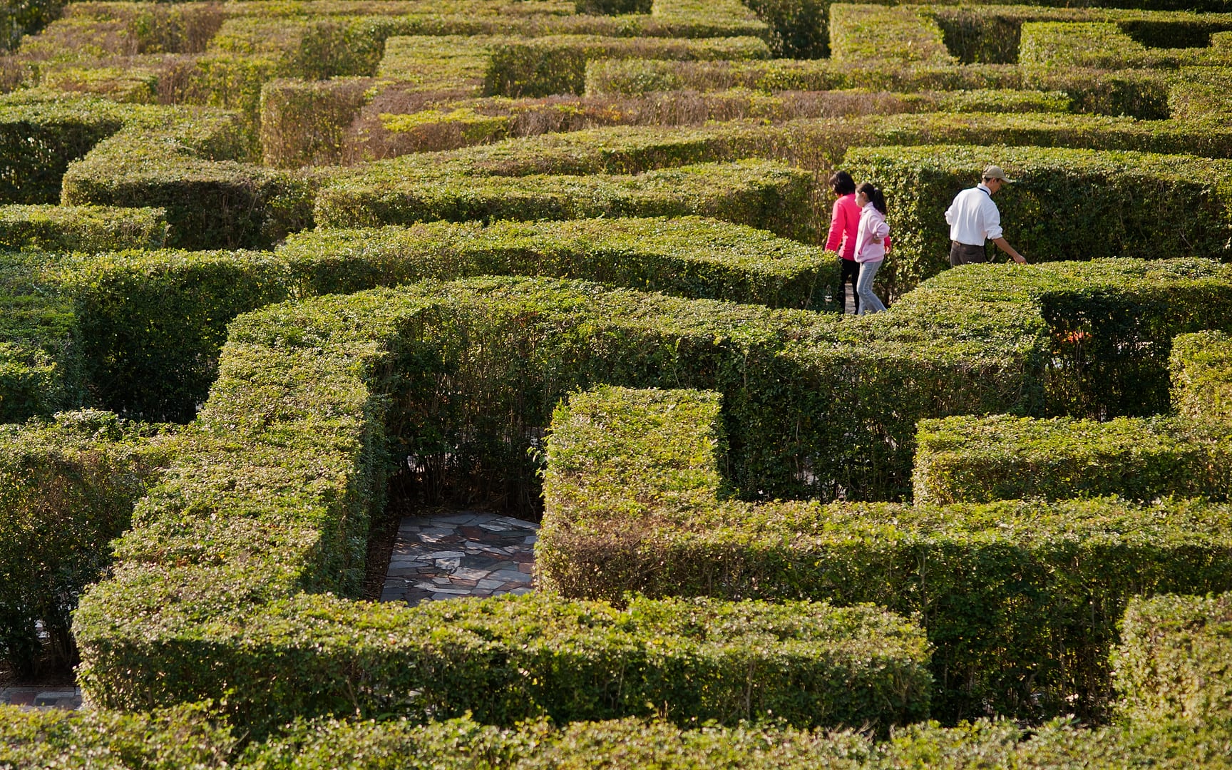 China — Shenzhen — landscape