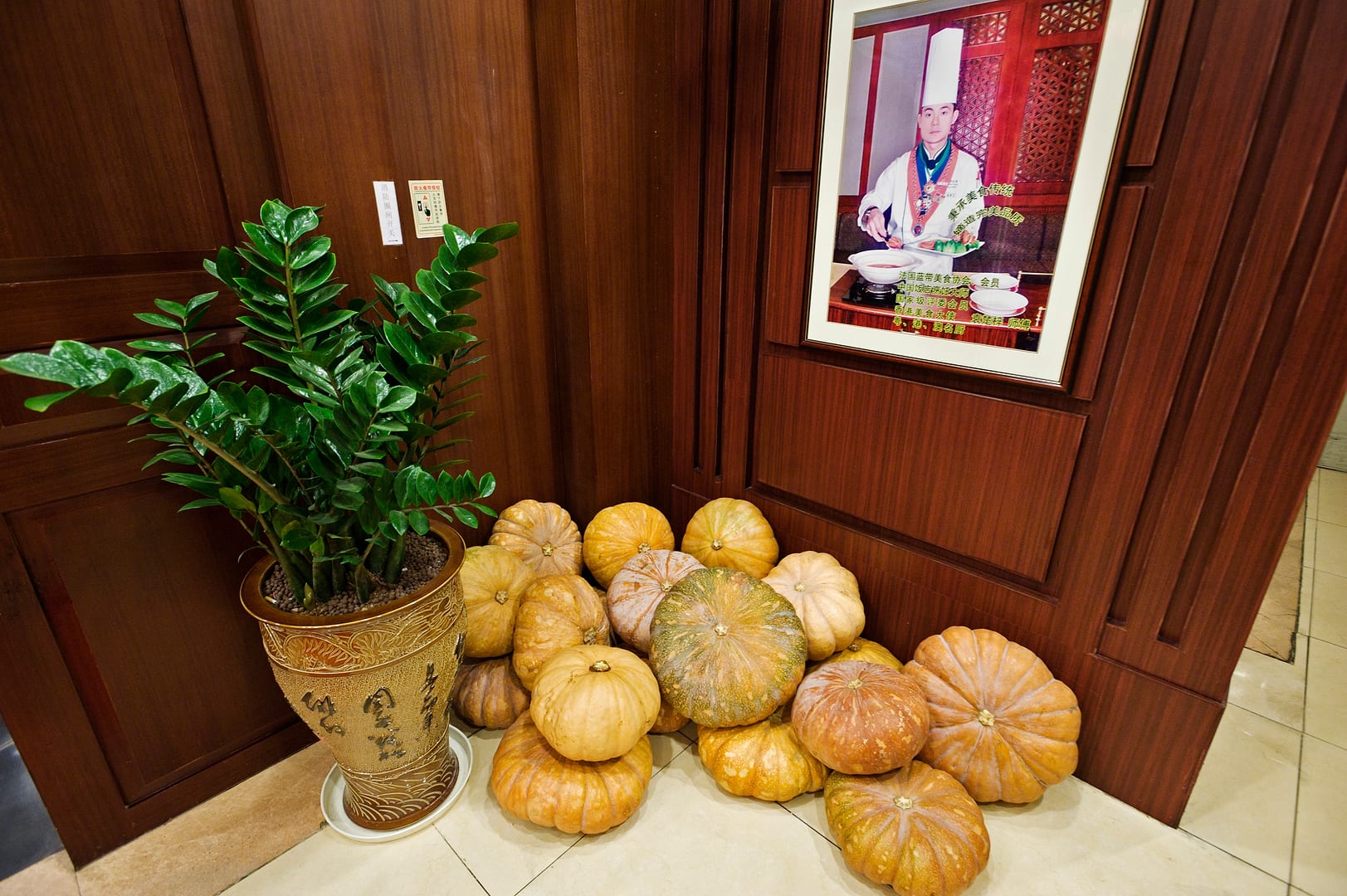 China — Shenzhen — other