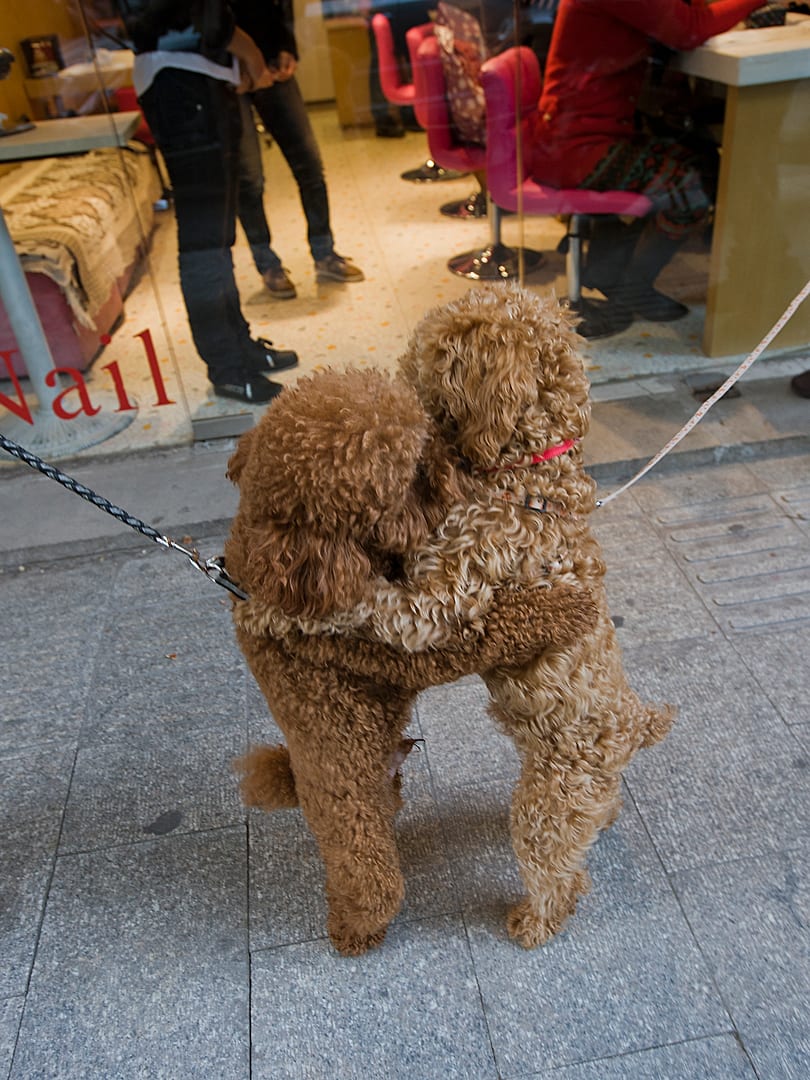 China — Suzhou — urban
